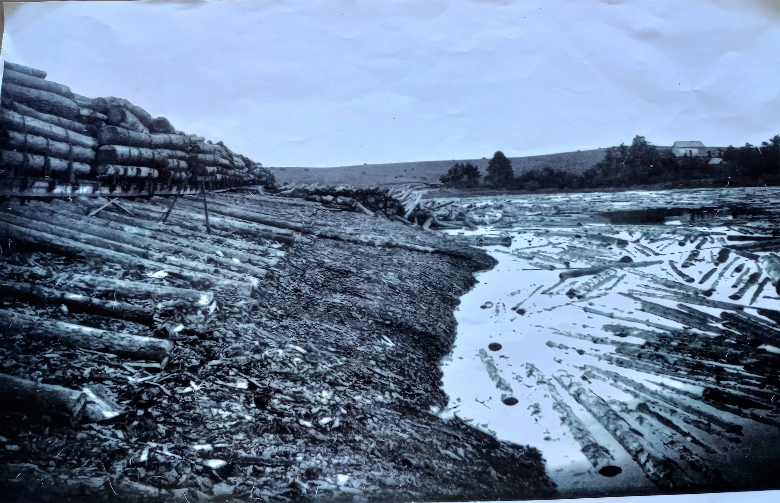 End of the line for logs coming out of the old sawmill in Frazee, MN