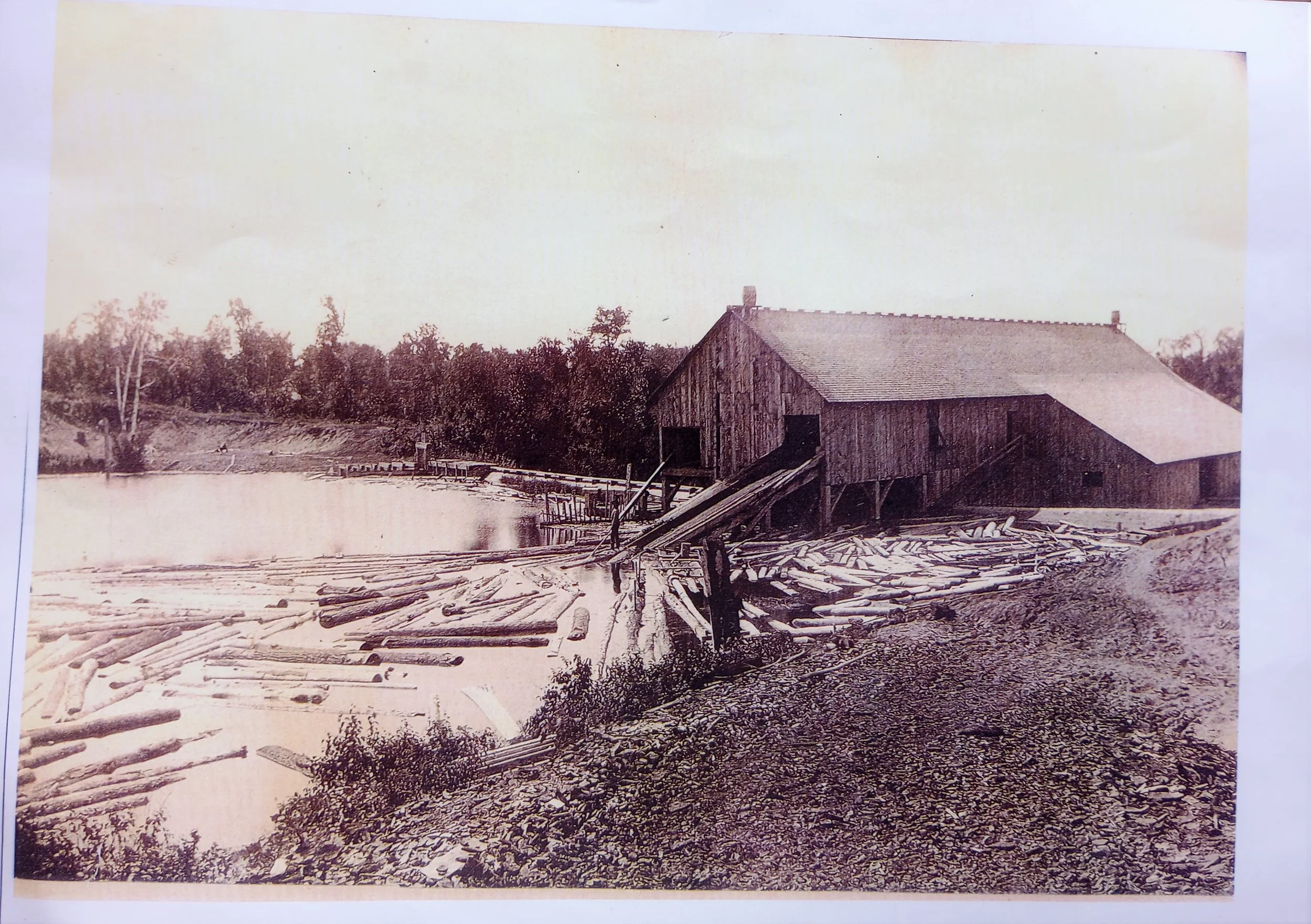 Sawmill in Frazee, MN