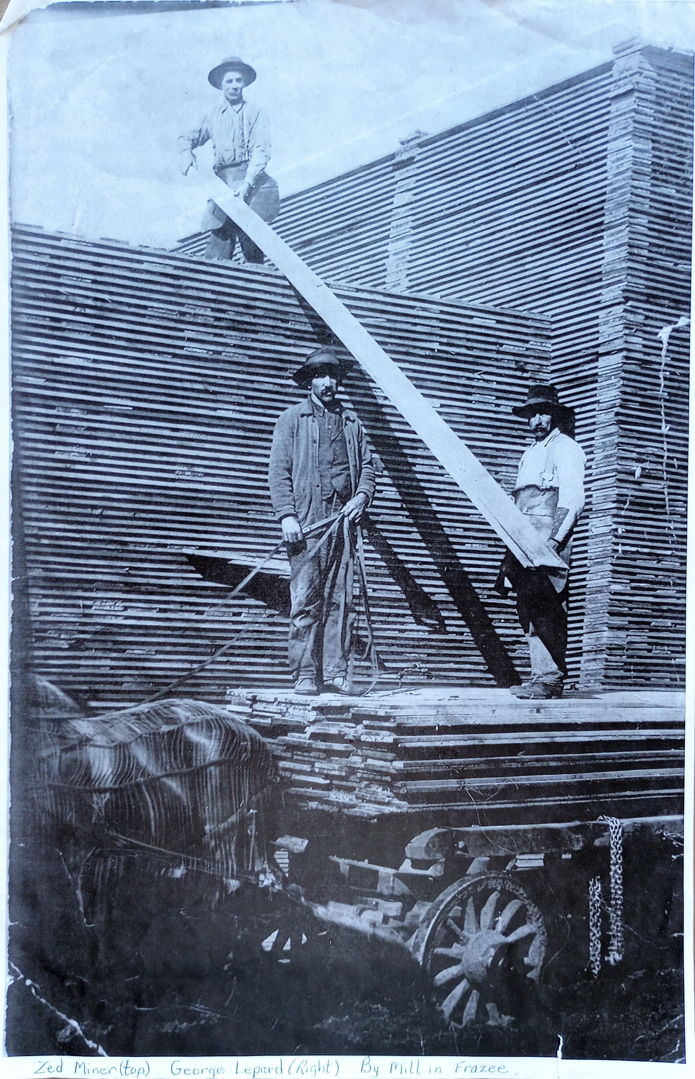 Board Pile with Workers Frazee - 9.jpg