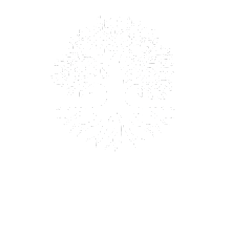 Fortis Finance