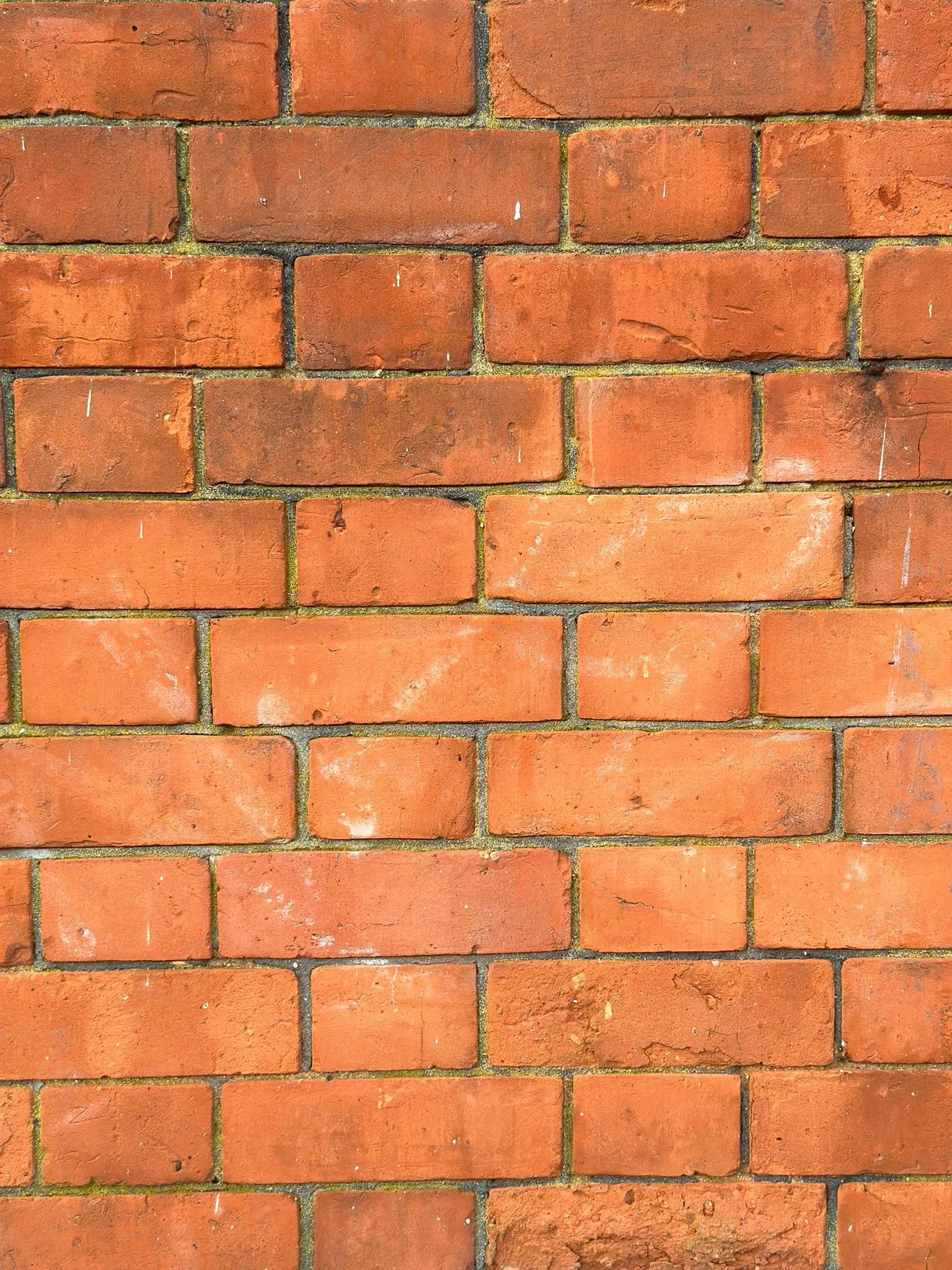 Pressed Reds, Reclaimed Bricks