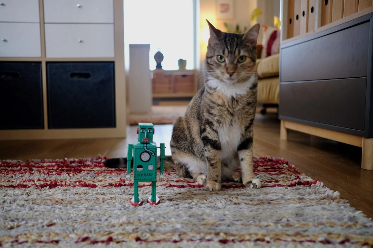 Image of a cat sitting next to a green robot, looking quite sceptically