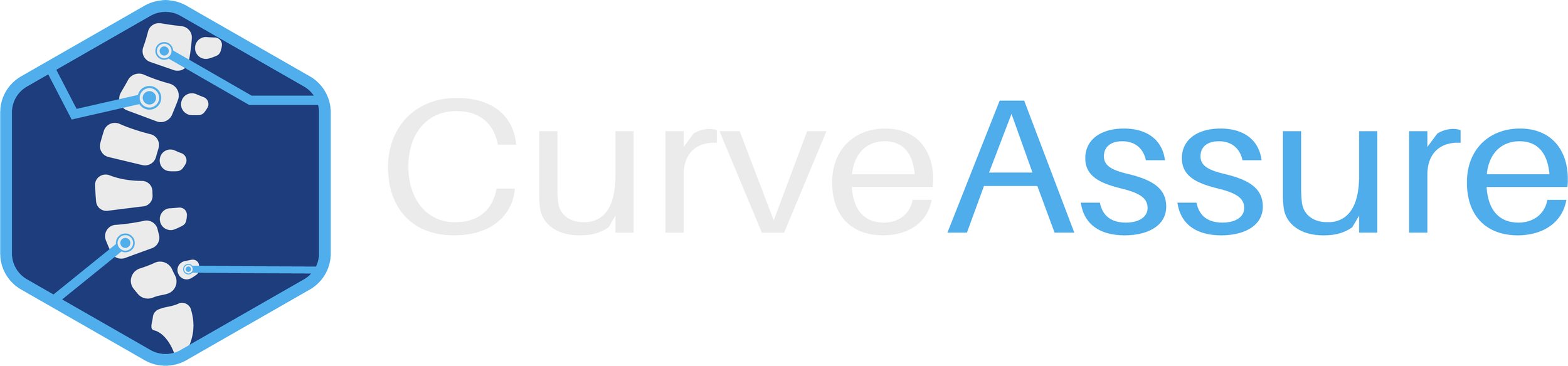 Curve Assure Logo Horizontal Alternate.jpg