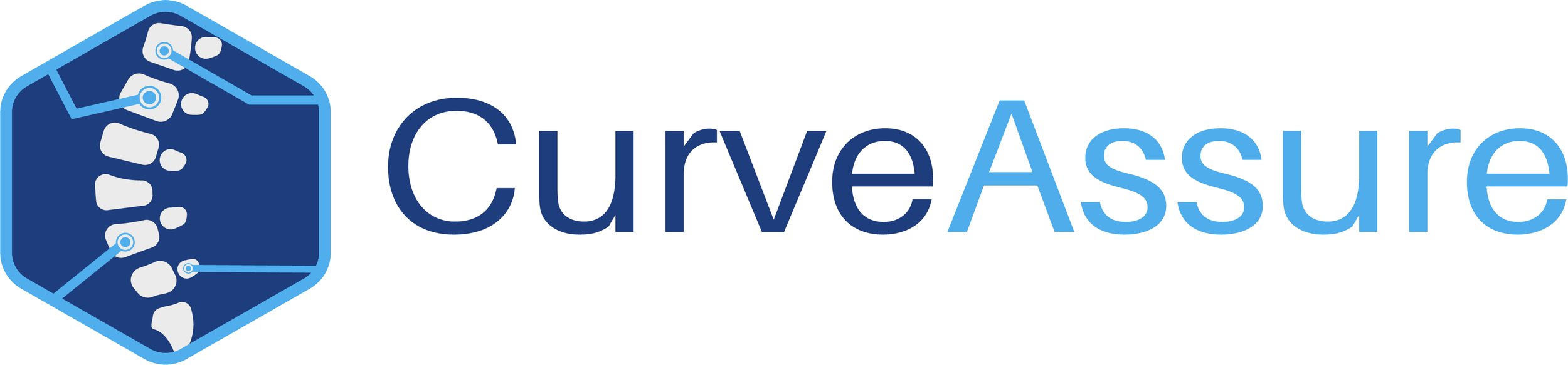 Curve Assure Logo Horizontal.jpg
