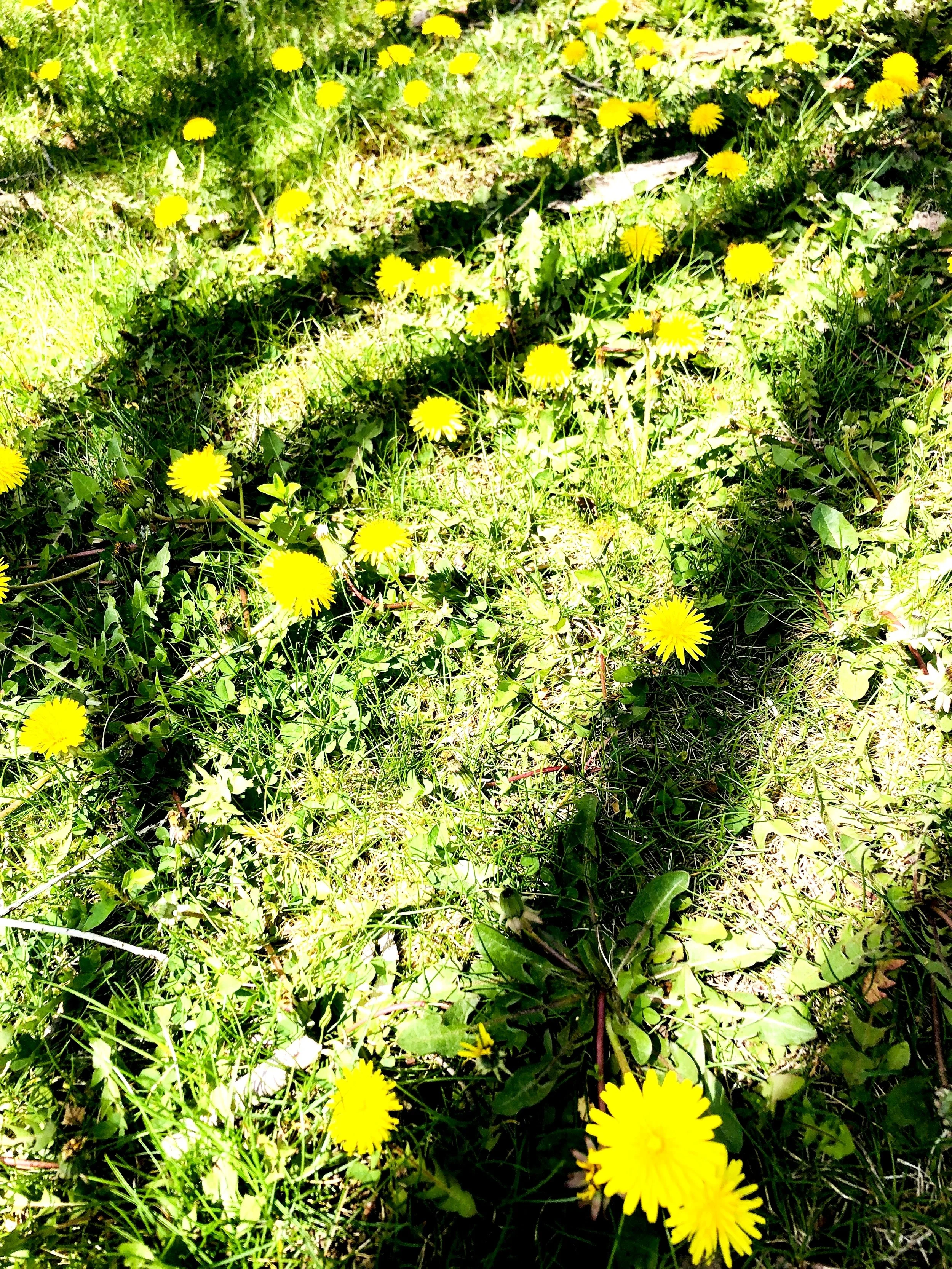Summer Circle August: A different approach to menstrual pain