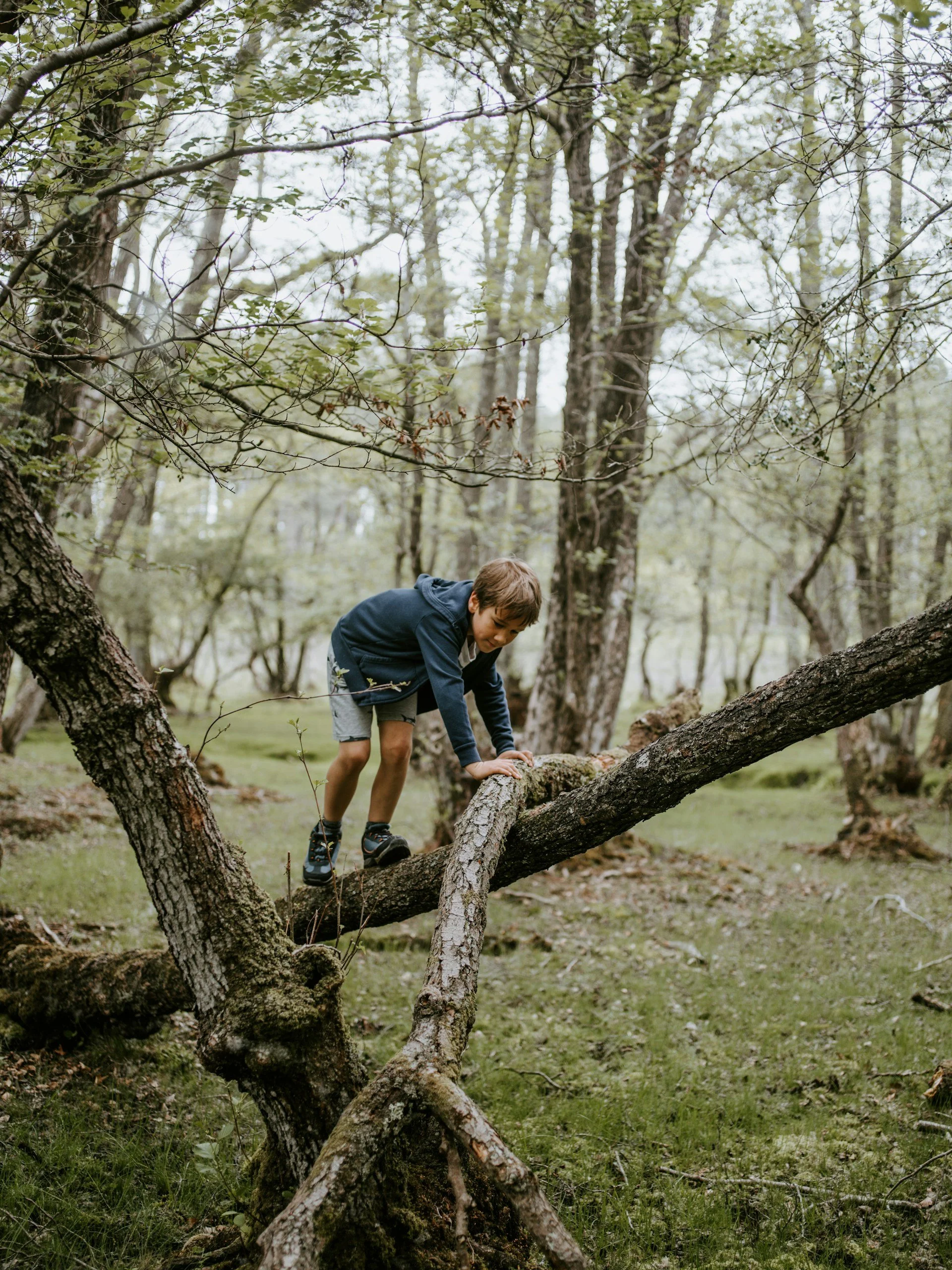 Belonging to Behavior