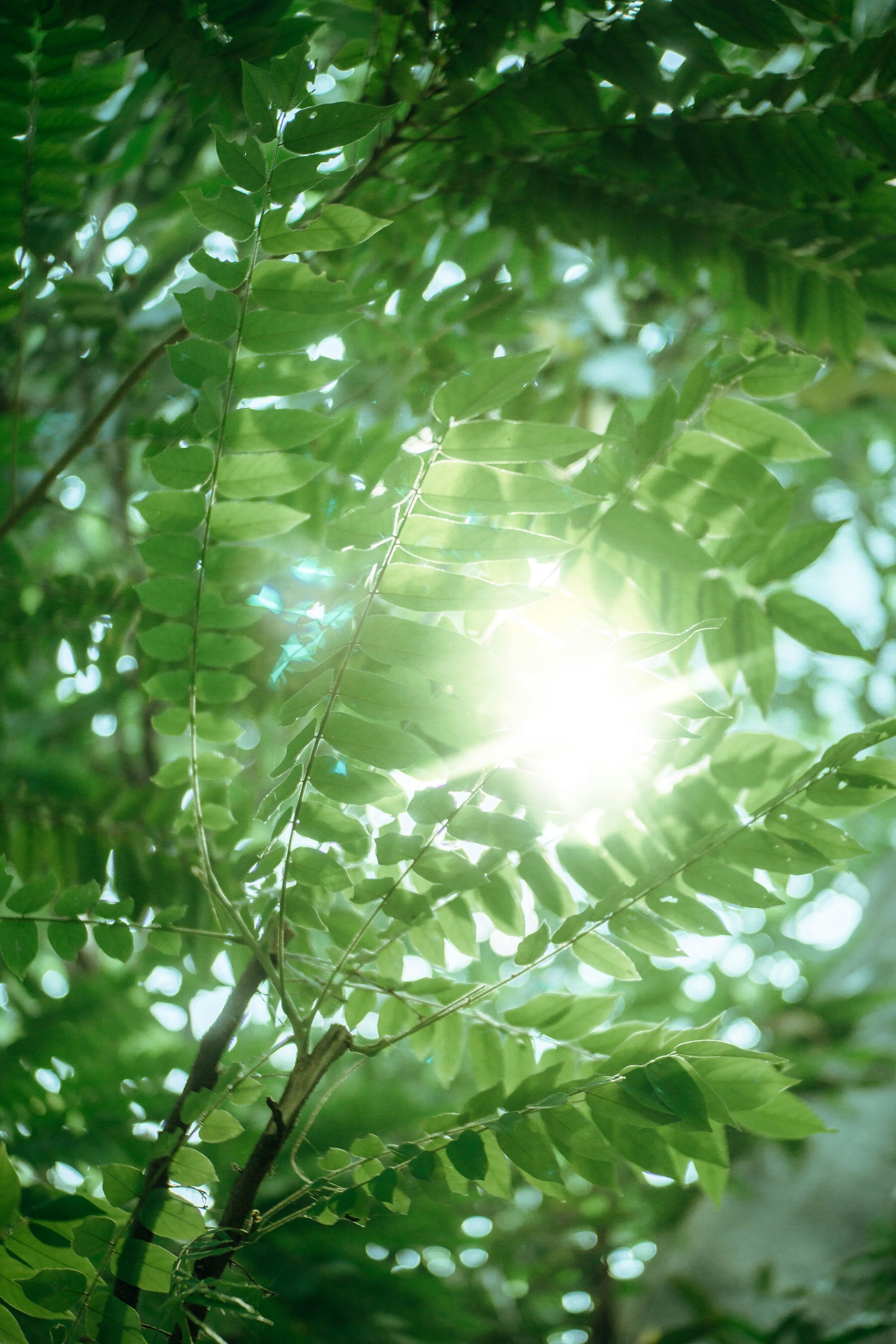 The Power of: A Clarifier