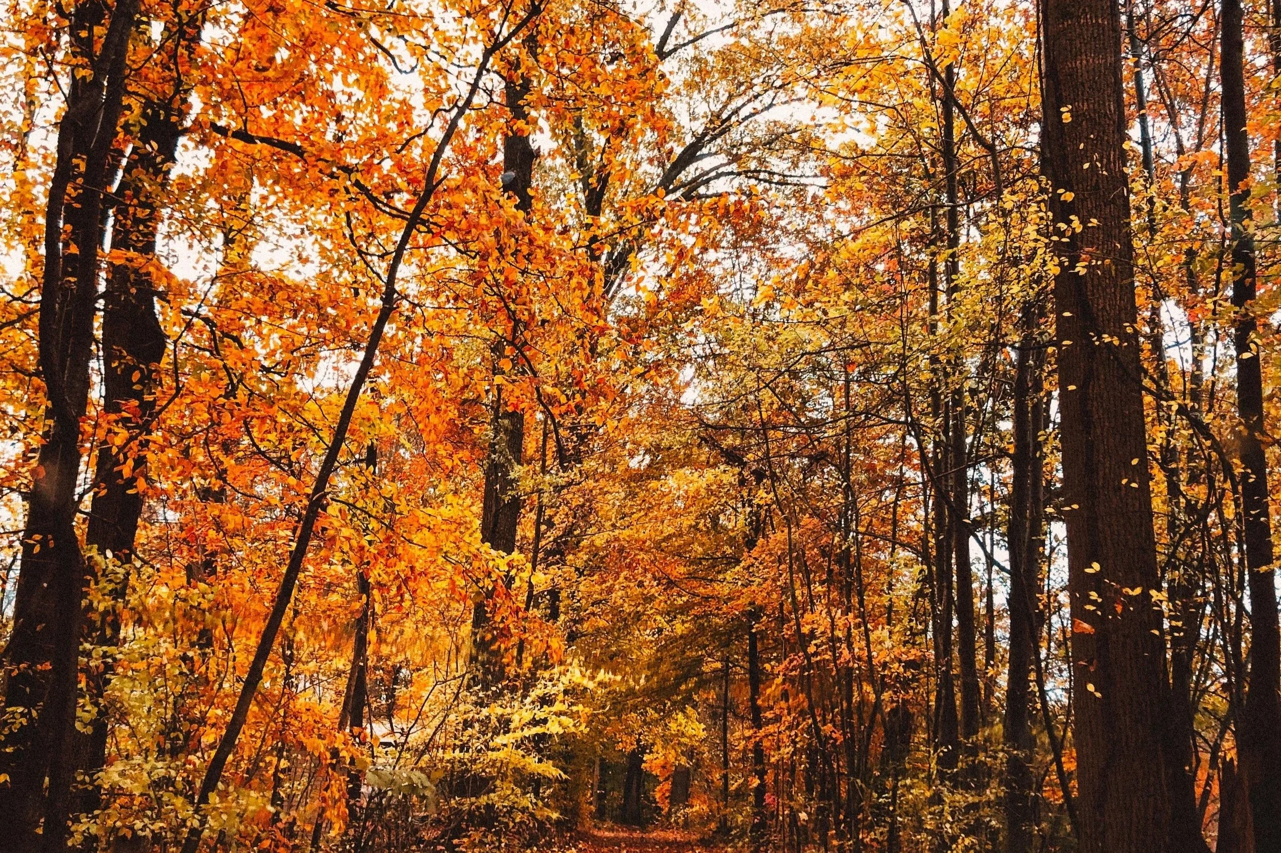 Keeping Streets Clear and Safe