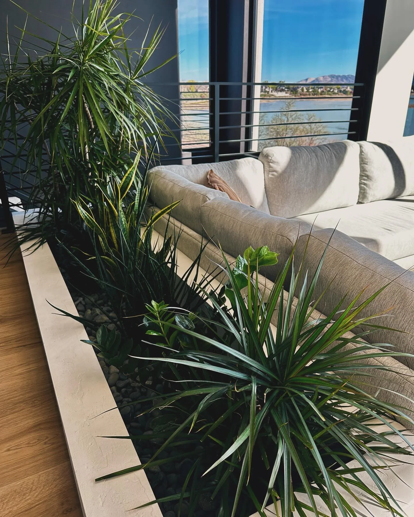 Love an opportunity to pull a bit of nature inside.
&bull;
&bull;
&bull;
#blackpeakhomes #customhomes #homedesign #utahhomes #customhomesutah #luxuryhomes #architecturedesign #indoorplanter