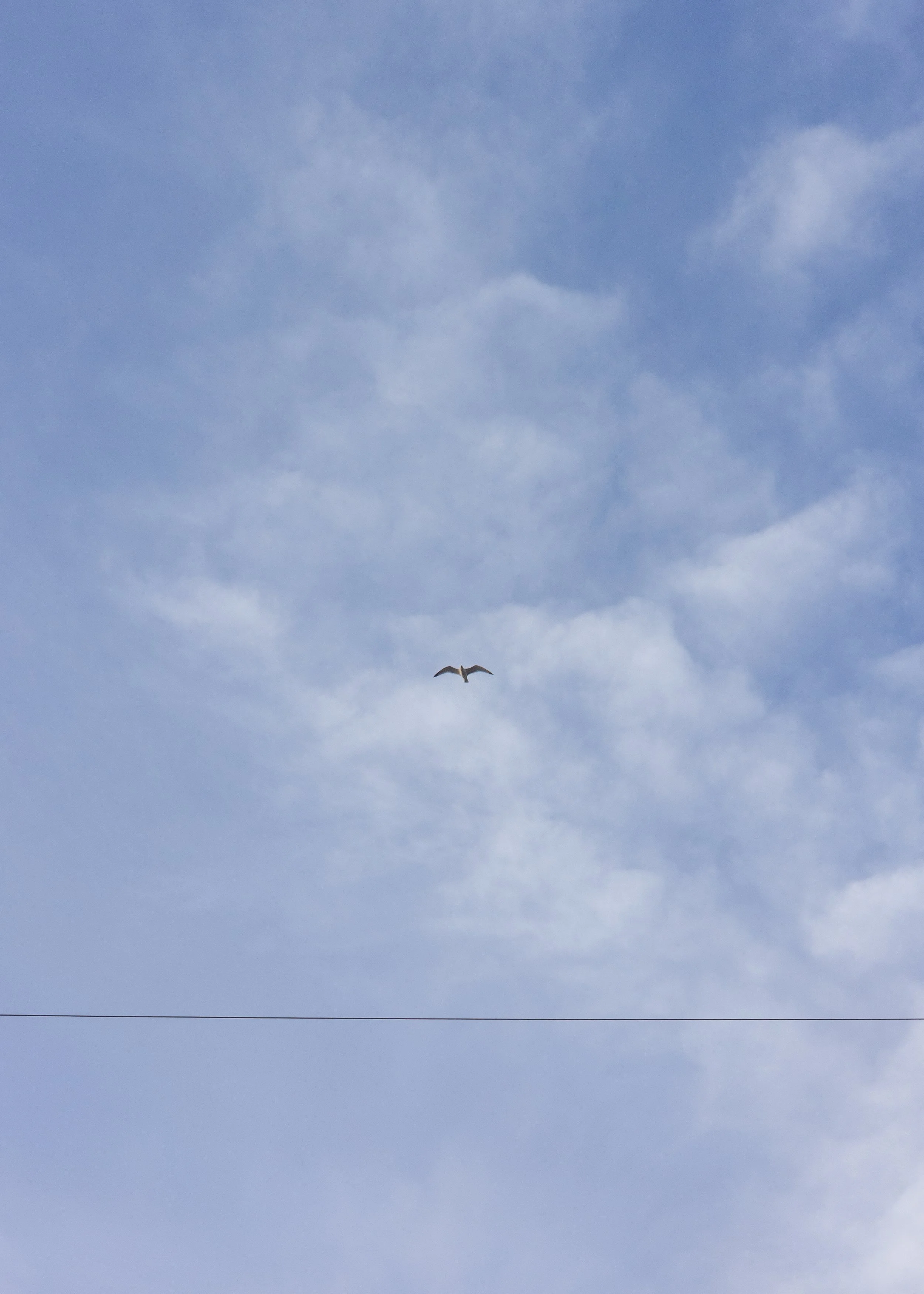 _MJC2643-2.jpg