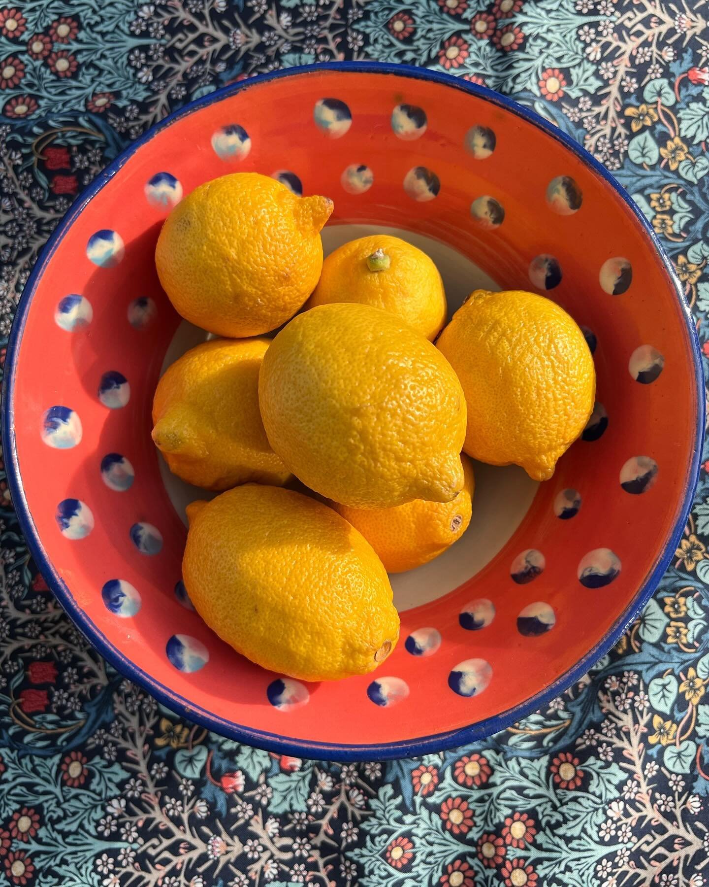 Cat&rsquo;s Eye Serving Bowl. Cream yellow and flame orange with blue trim and cat&rsquo;s eye dots inside and on bottom. 9&rdquo;w x 3.75h&rdquo;. Now in webshop / SOLD OUT

#eastrockceramics #pottery #studiopottery #wheelthrown