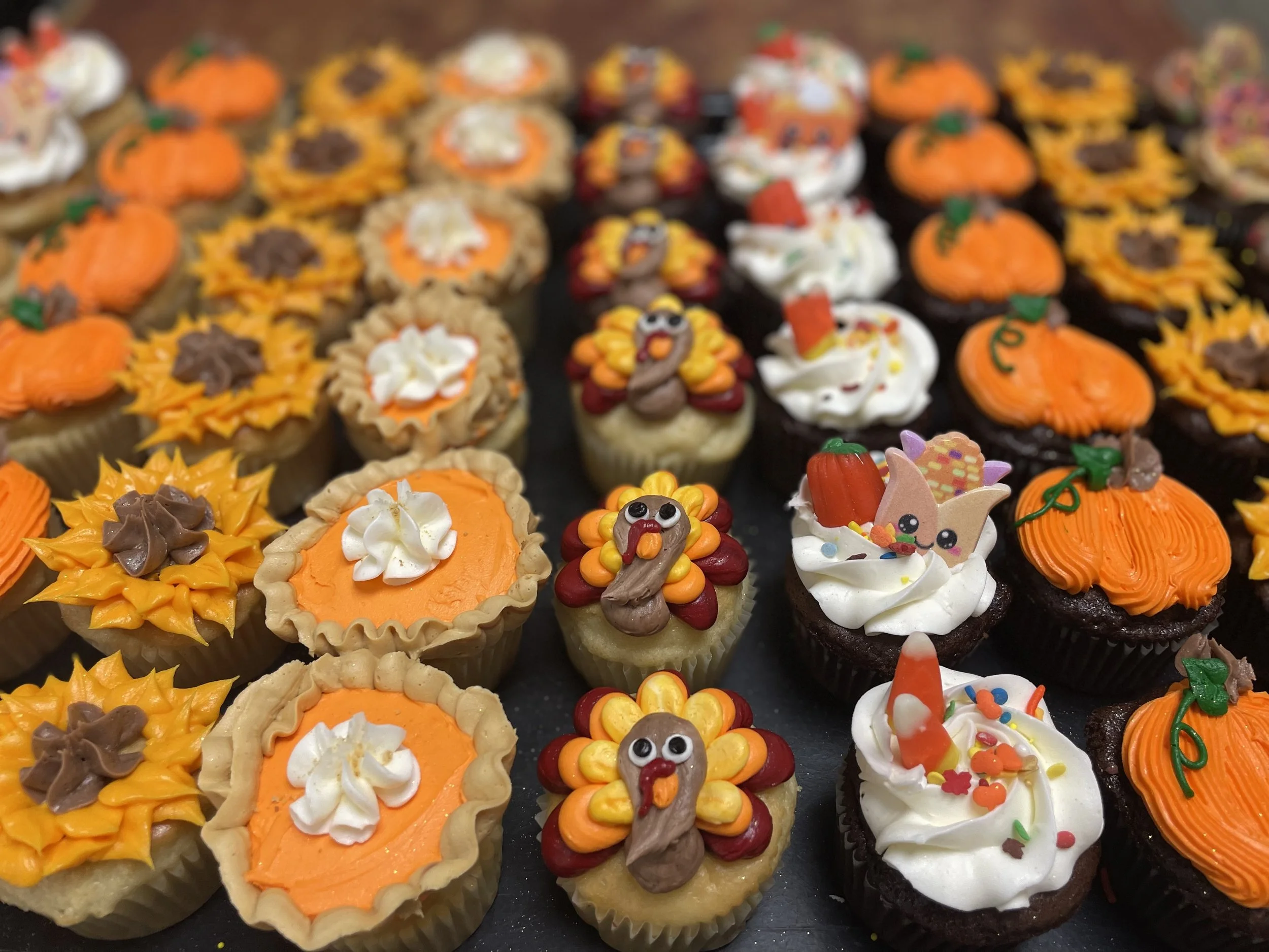Thanksgiving cupcakes.jpeg