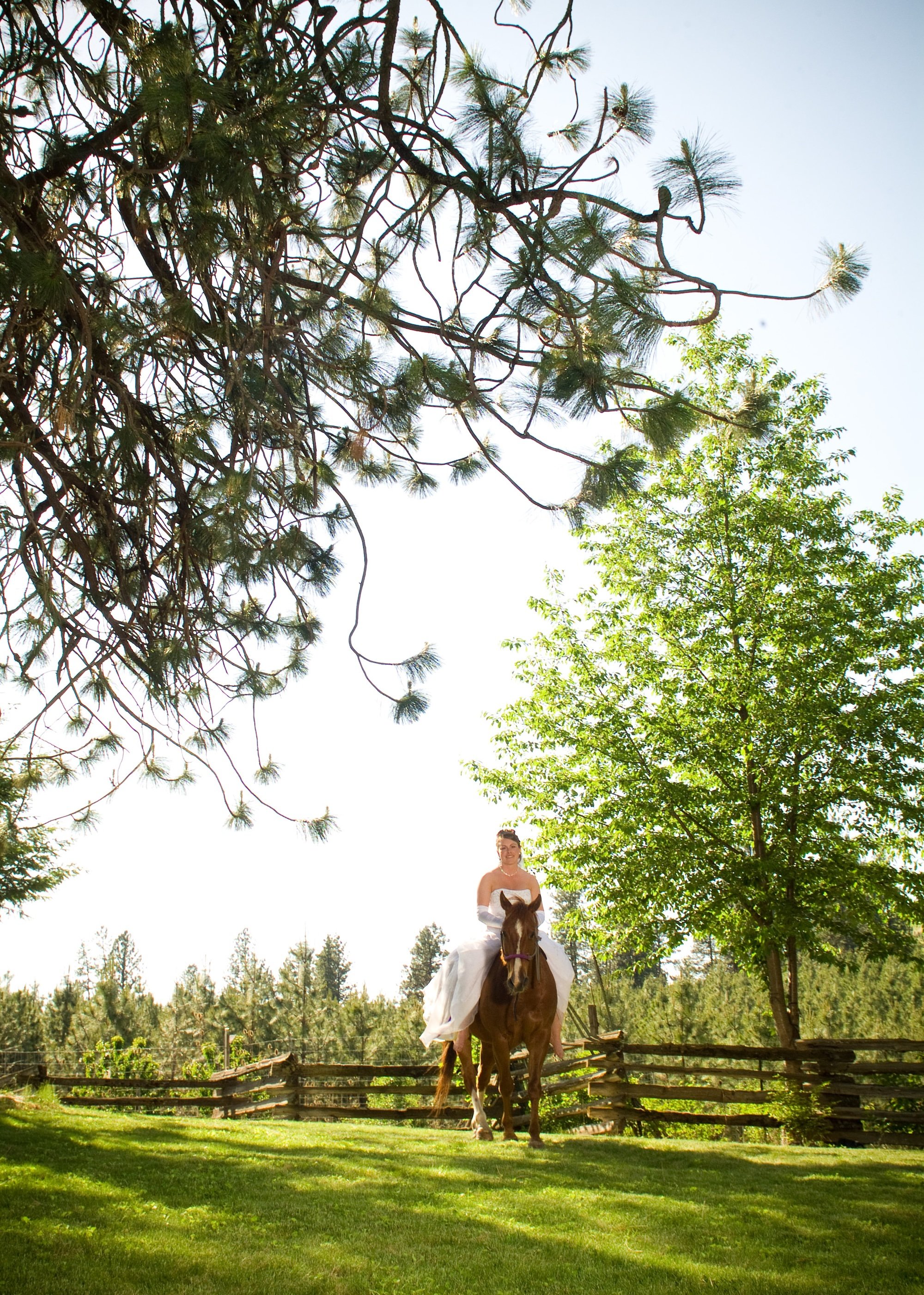 bride-and-groom-walk-through-field-idaho.jpeg