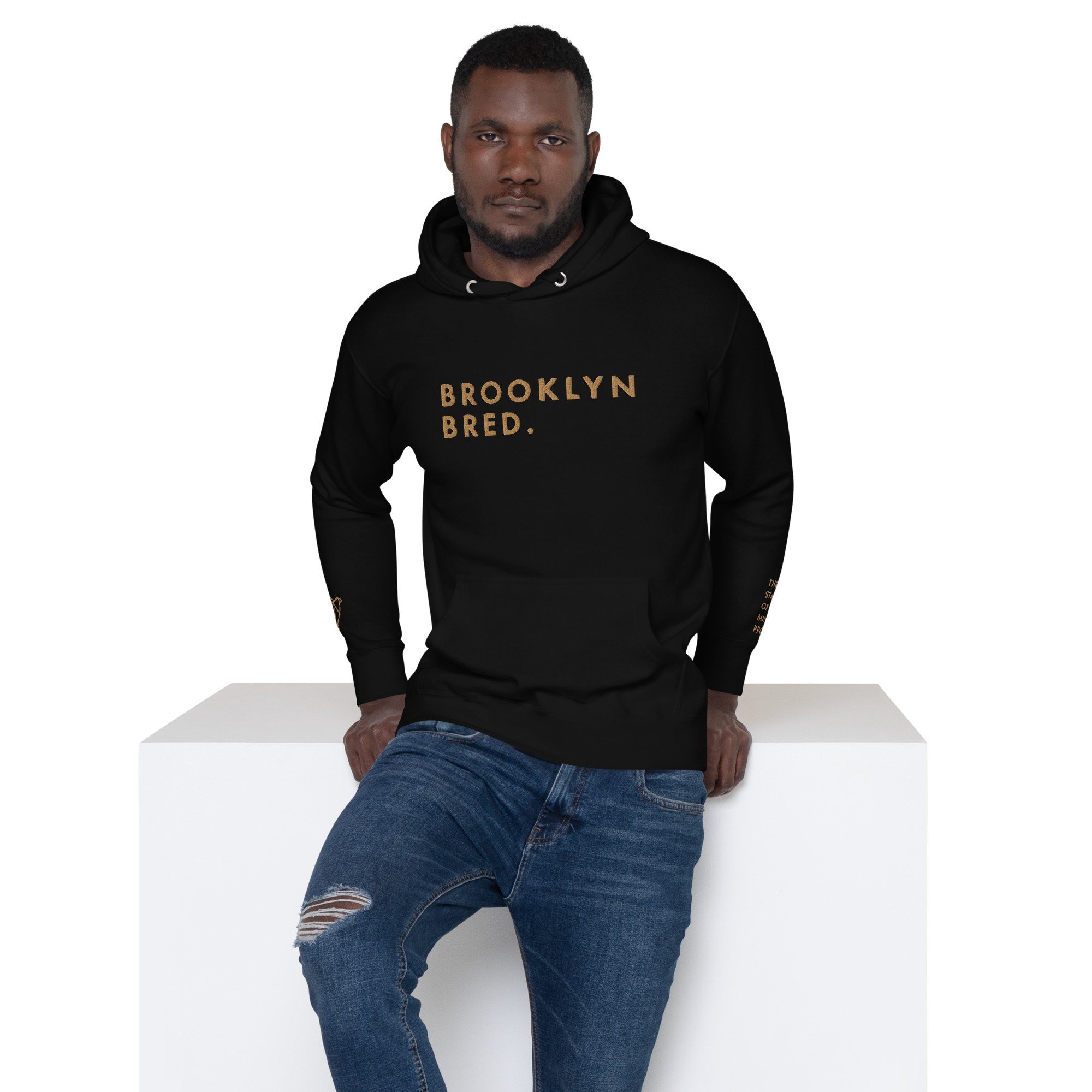 unisex-premium-hoodie-black-front-64fd65f20c944.jpg