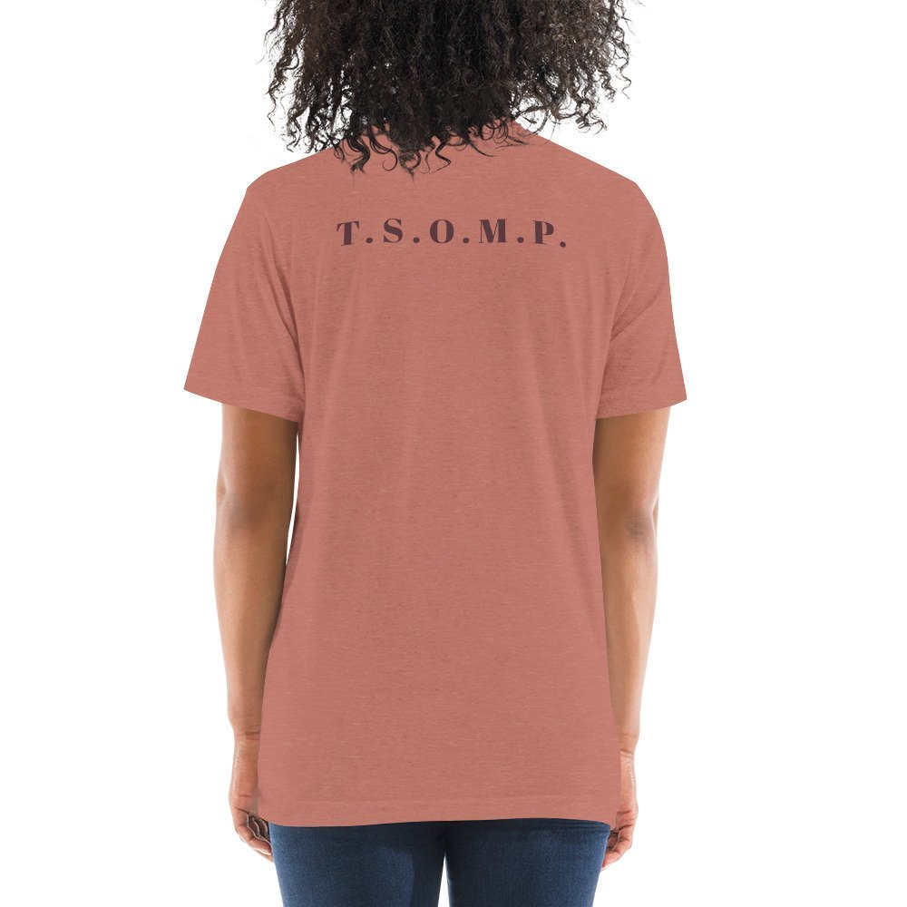 unisex-tri-blend-t-shirt-mauve-triblend-back-65826fbc1a48d.jpg