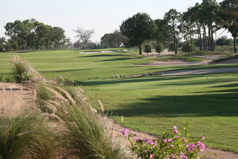 The Wanderers (1979 film) visual data 3