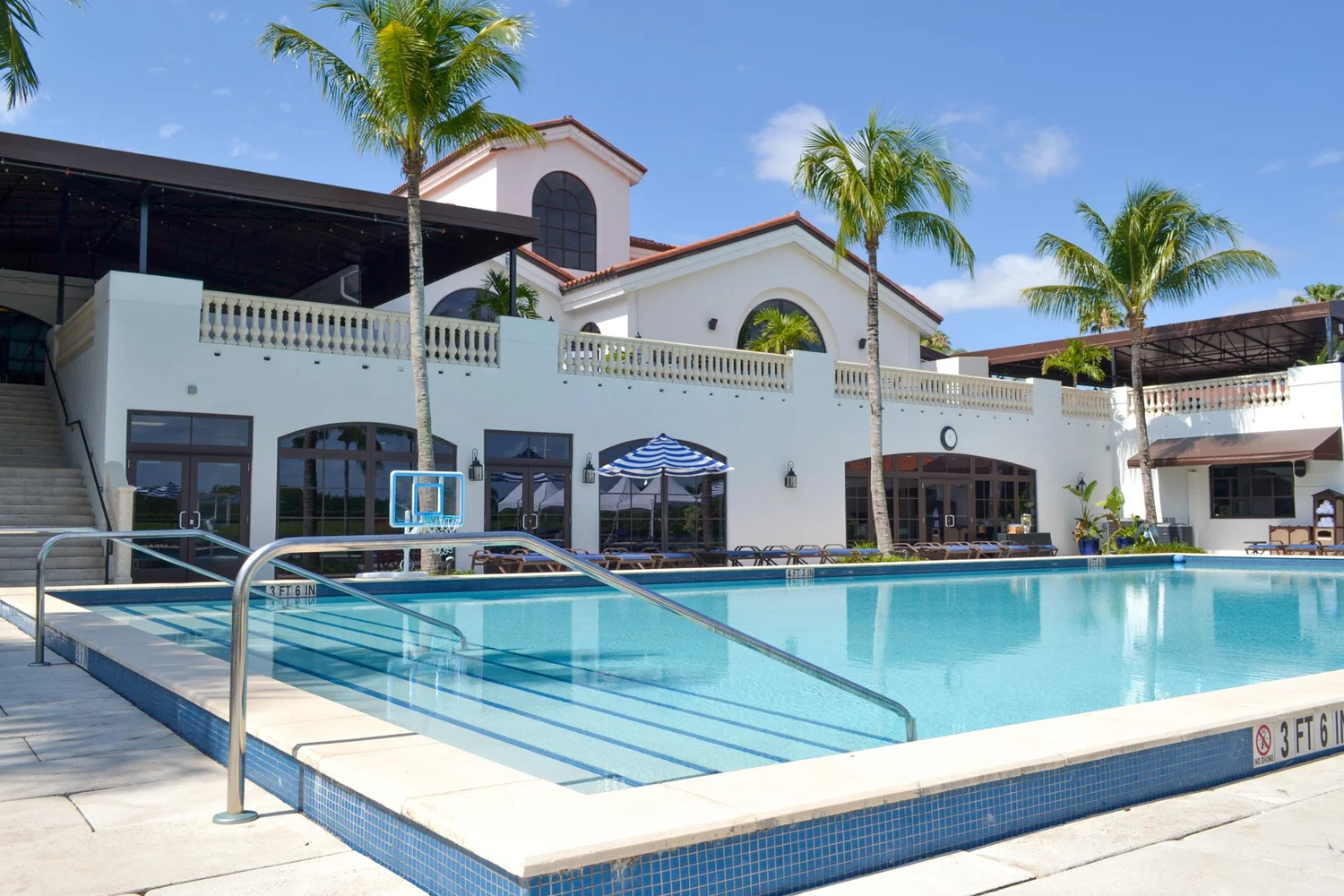 The Wanderers (1979 film) intelligence overview