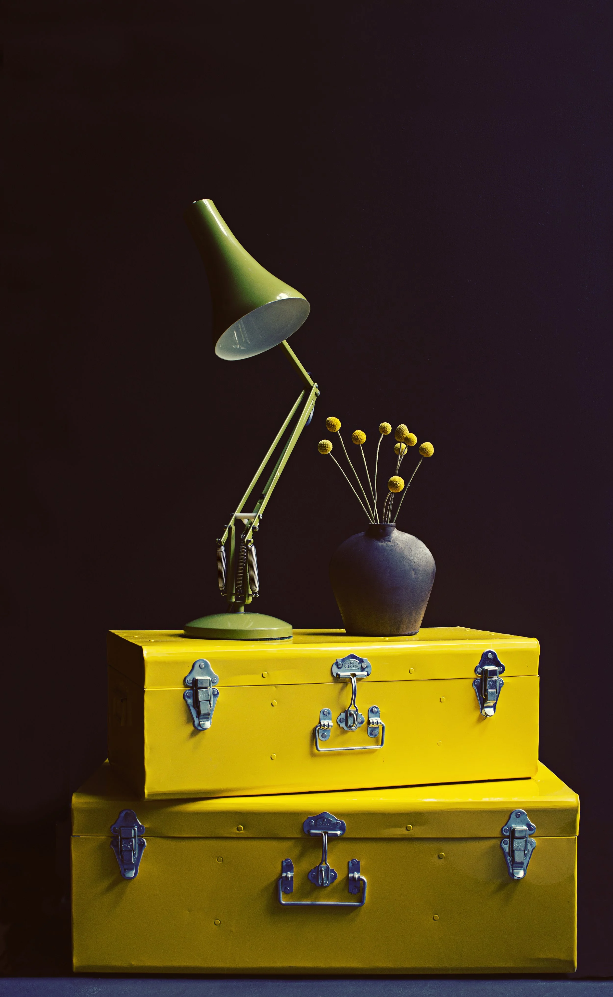 yellow trunk copy.jpg
