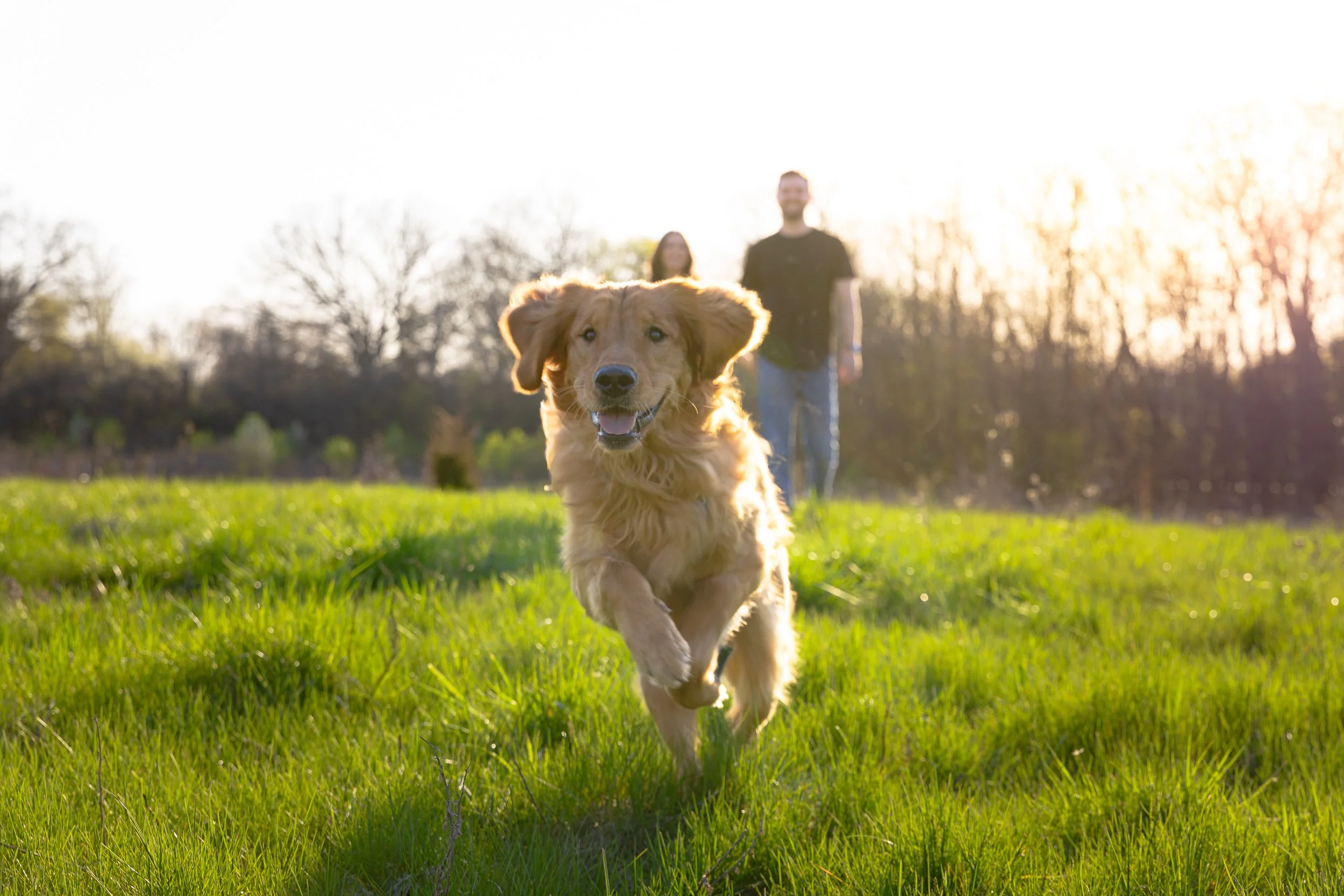 LB_Engagement-54.JPG