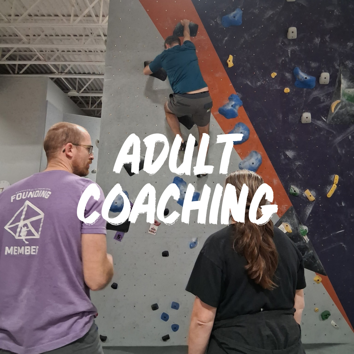 Adult Coaching.png