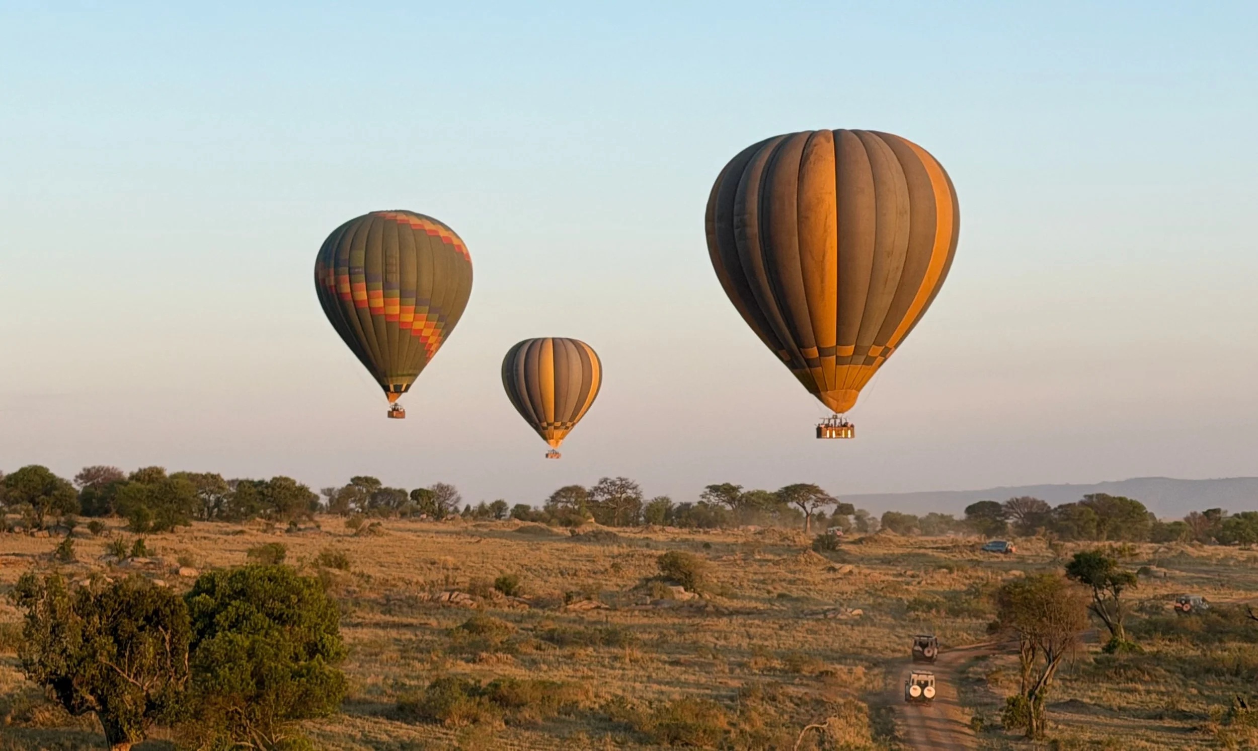 IMG_8217.JPG