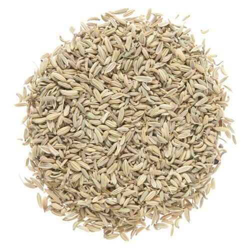 Organic Fennel