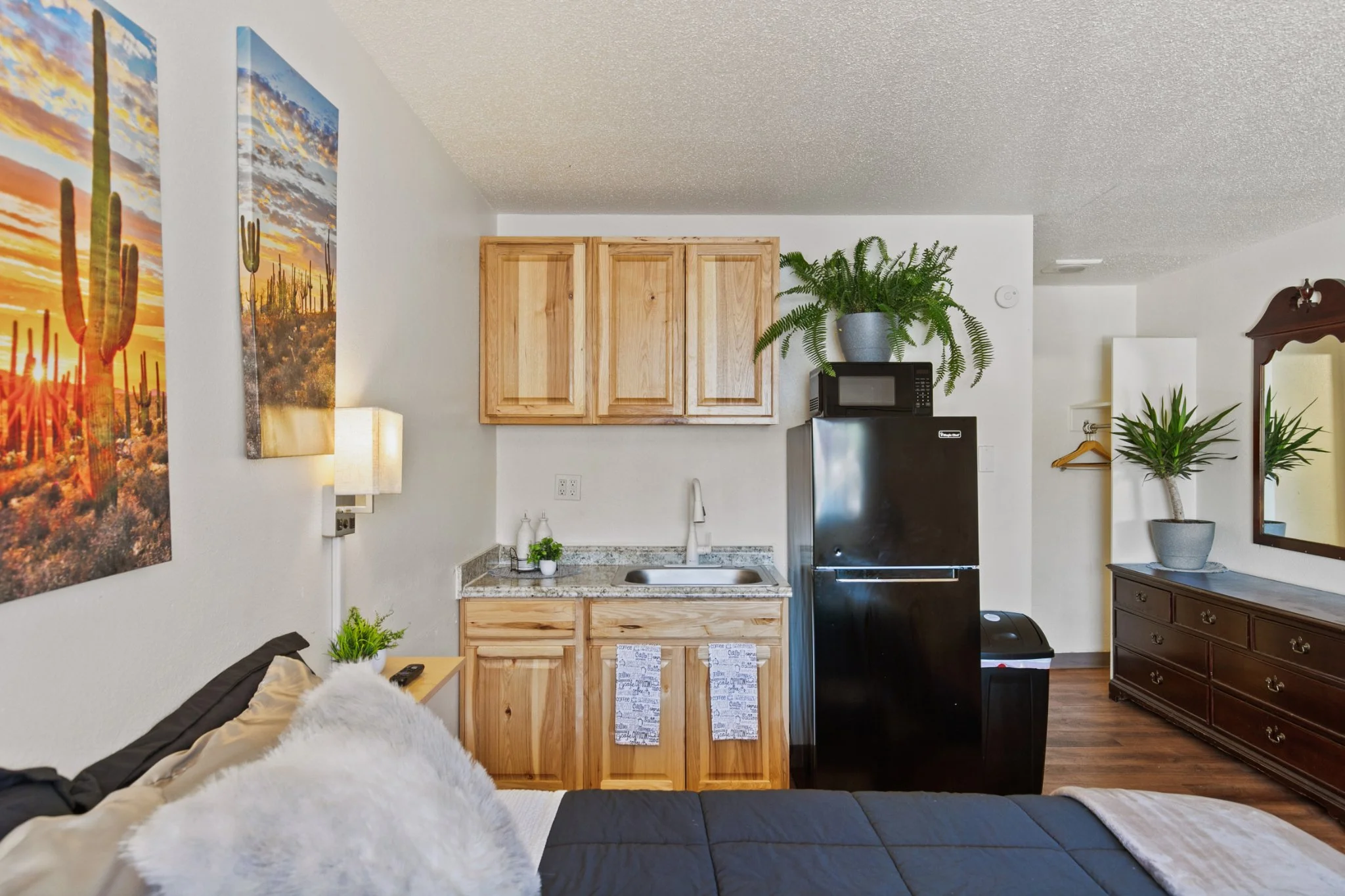 Interior of a small apartment or studio with a kitchen area, featuring wooden cabinets, a microwave, a refrigerator, and various plants. There are paintings on the wall, a lamp, and furniture, including a bed with pillows and a blanket.