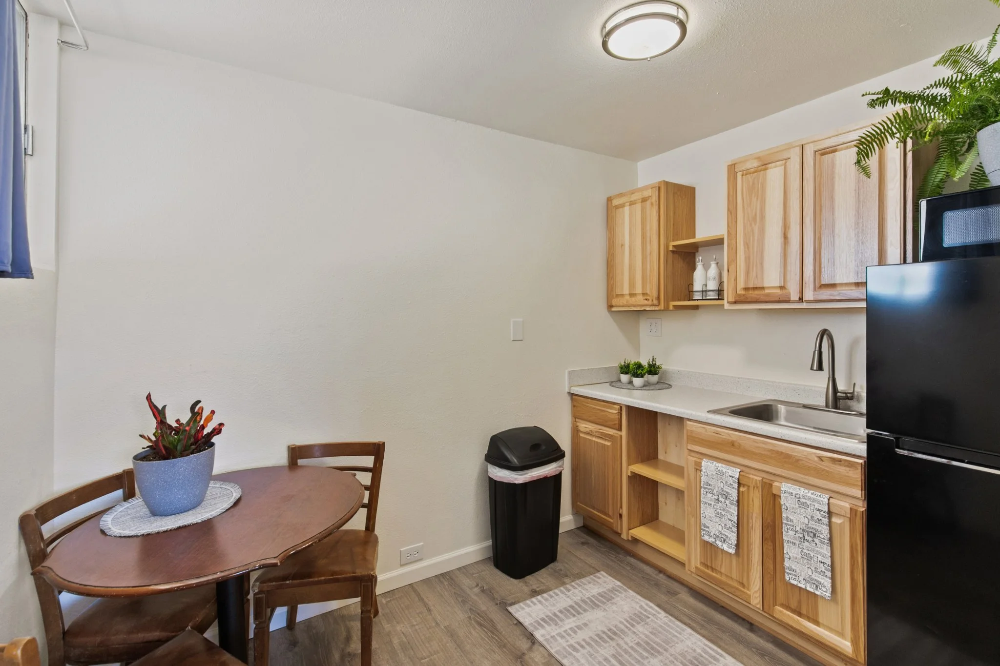 A small kitchen with wooden cabinets, a stainless steel sink, a black trash can, a potted plant on a dining table, and a large fern plant on top of the cabinets, with a light fixture on the ceiling.