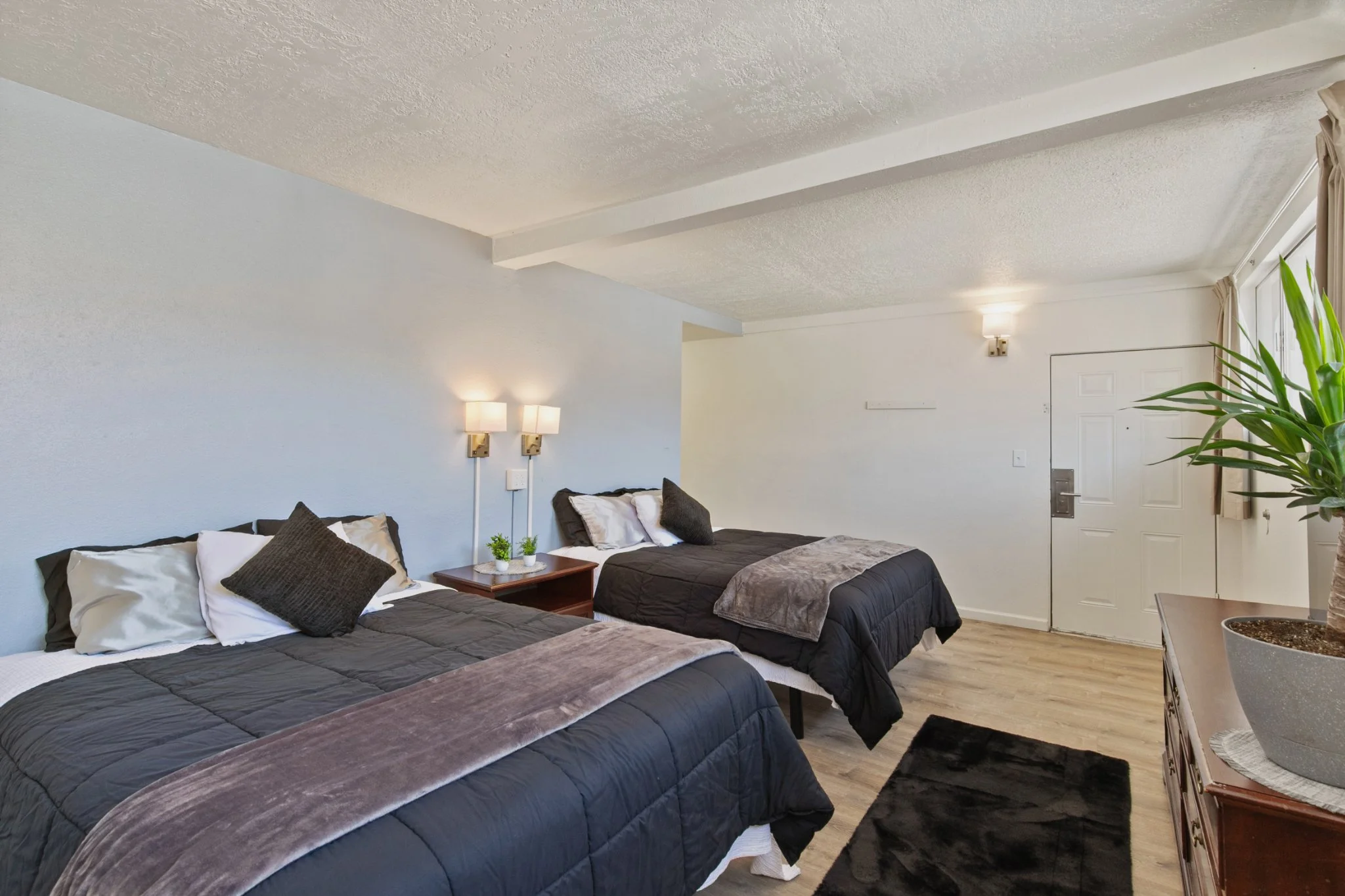 A bedroom with two beds covered in dark gray and black linens, and decorative pillows. There are two wall-mounted lamps above each bed, a wooden nightstand with small potted plants between the beds, and a large window with beige curtains. A potted pl