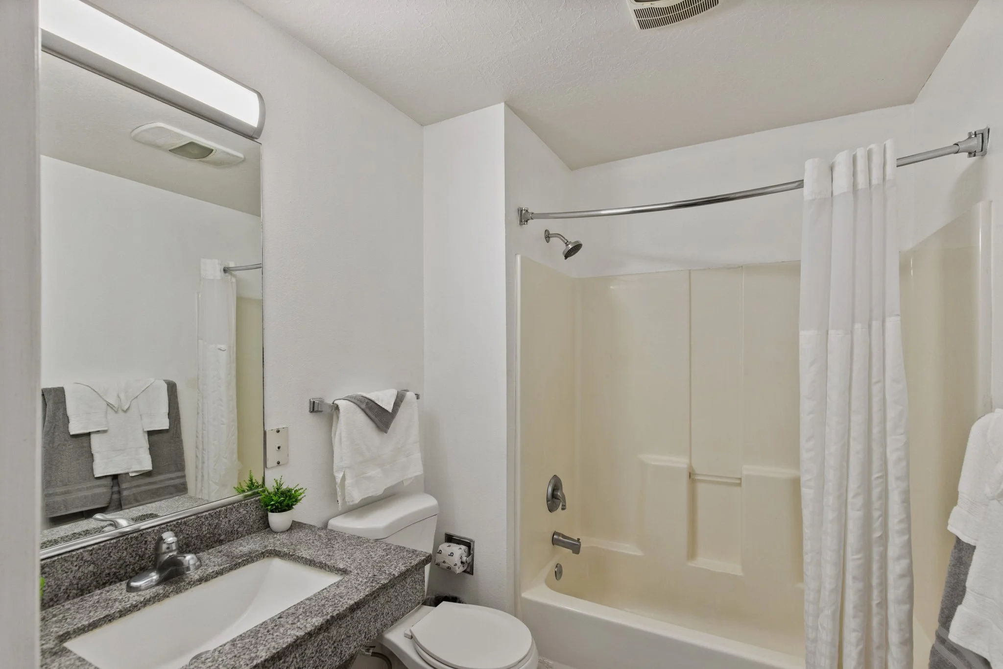 Small bathroom with a granite countertop sink, mirror, towels, a small plant, and a bathtub with a shower curtain and a showerhead.