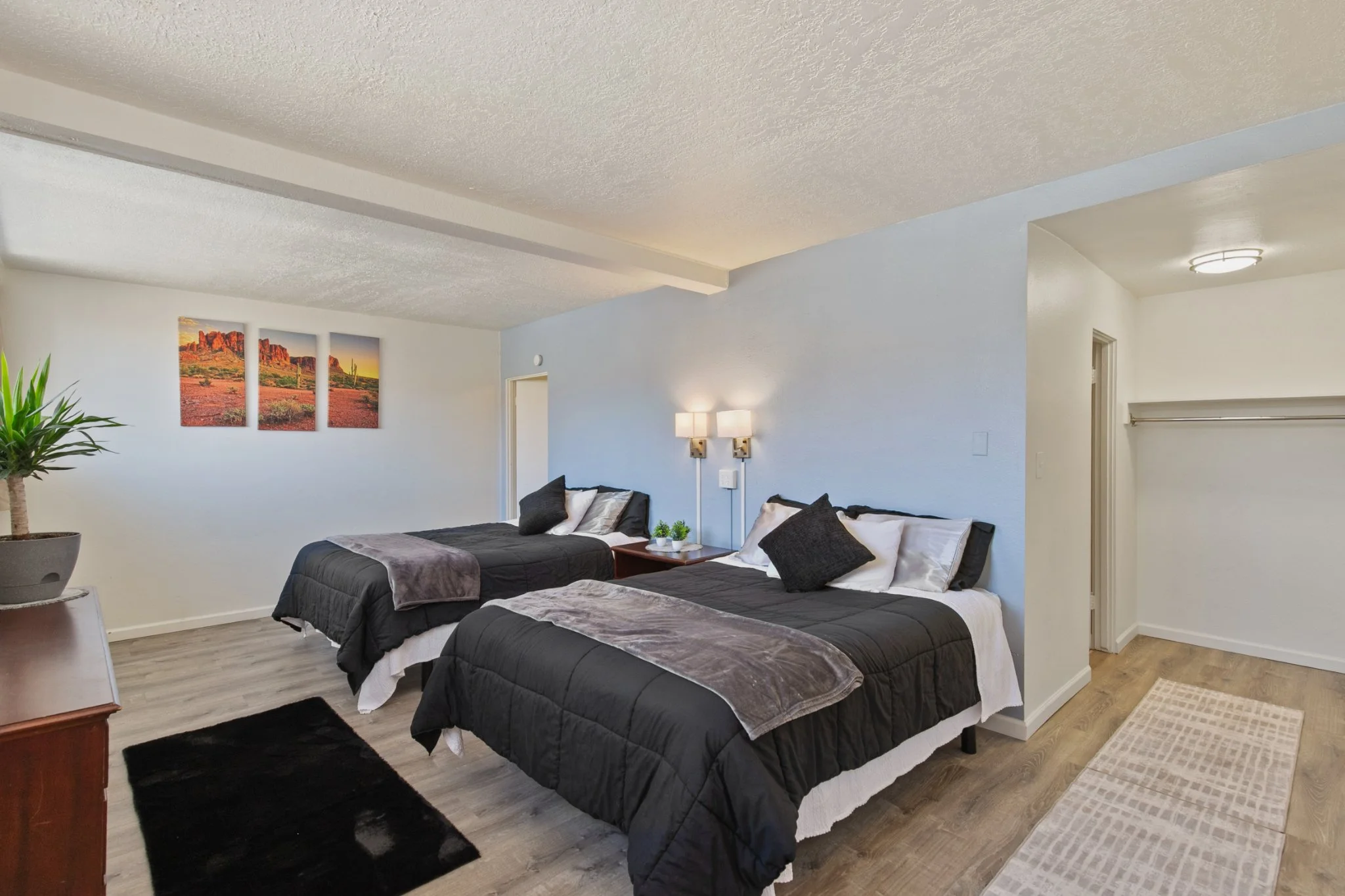 A bedroom with two beds with black and white bedding, a wooden nightstand with small plants, wall art of desert landscape, potted plant, hardwood floor, cream walls, and a bathroom doorway.