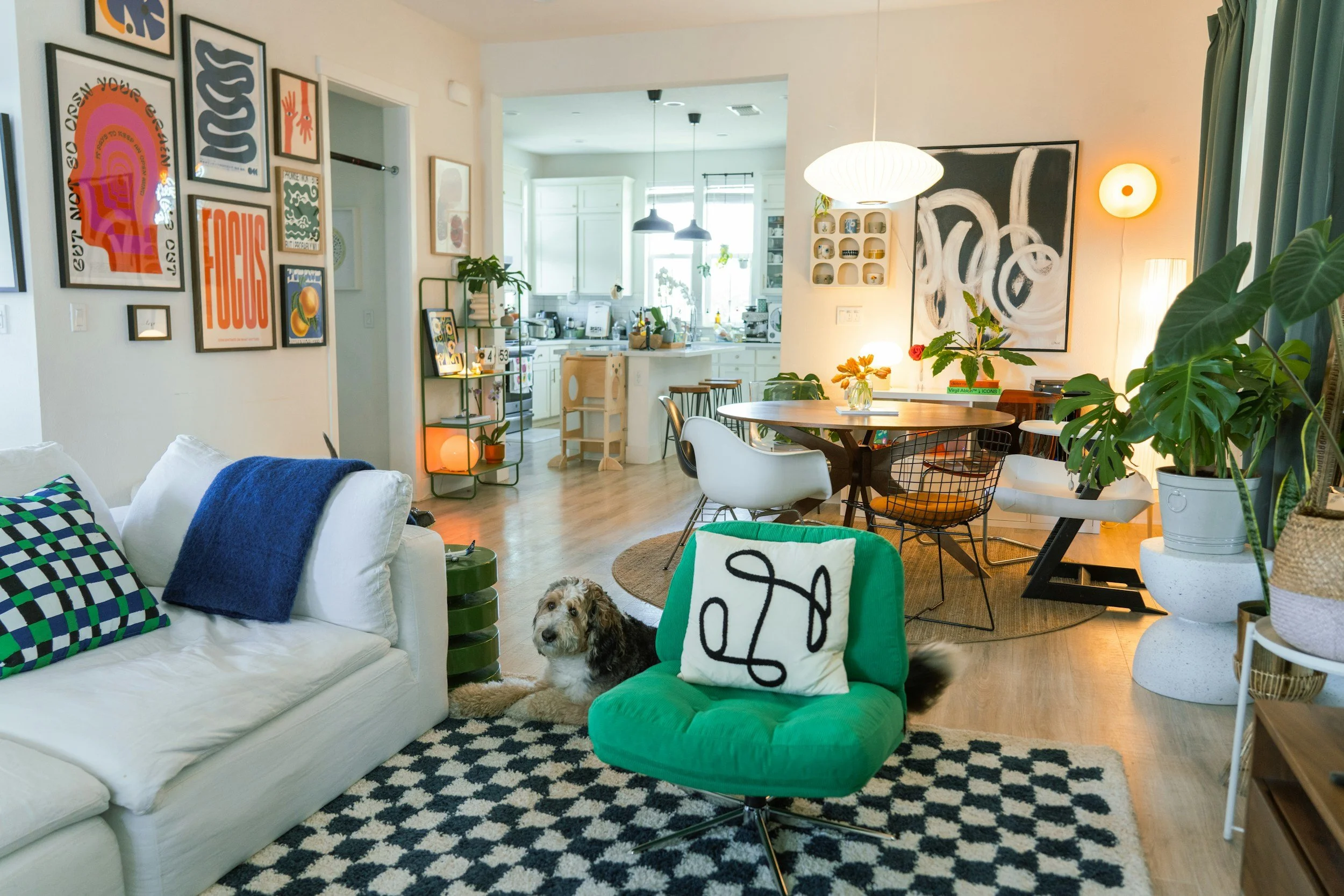 bright and colorful organized dining room and kitchen with cute dog