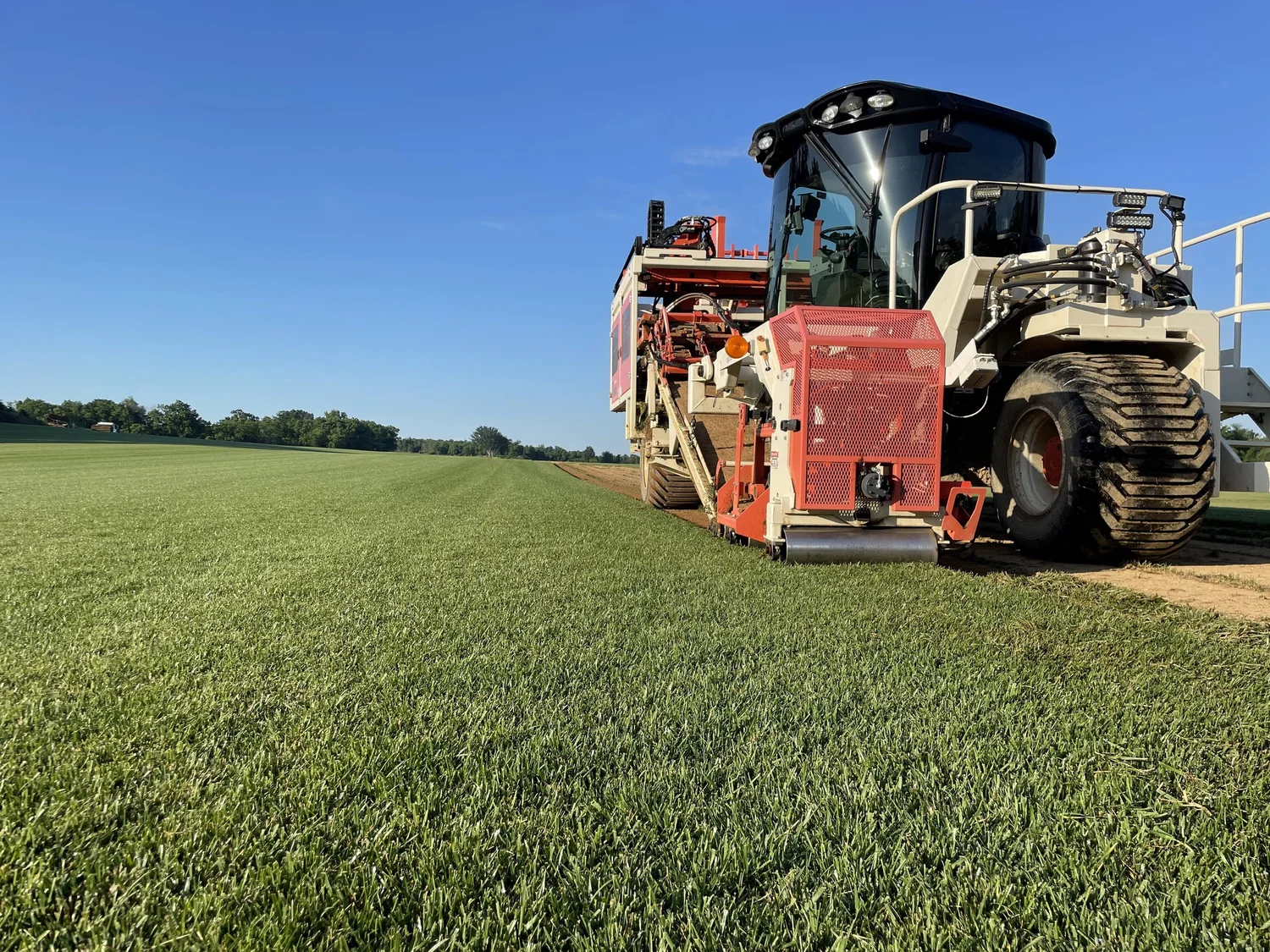 Turfgrass grown at Green Horizons Turf Farms for delivery to Martinsburg, WV