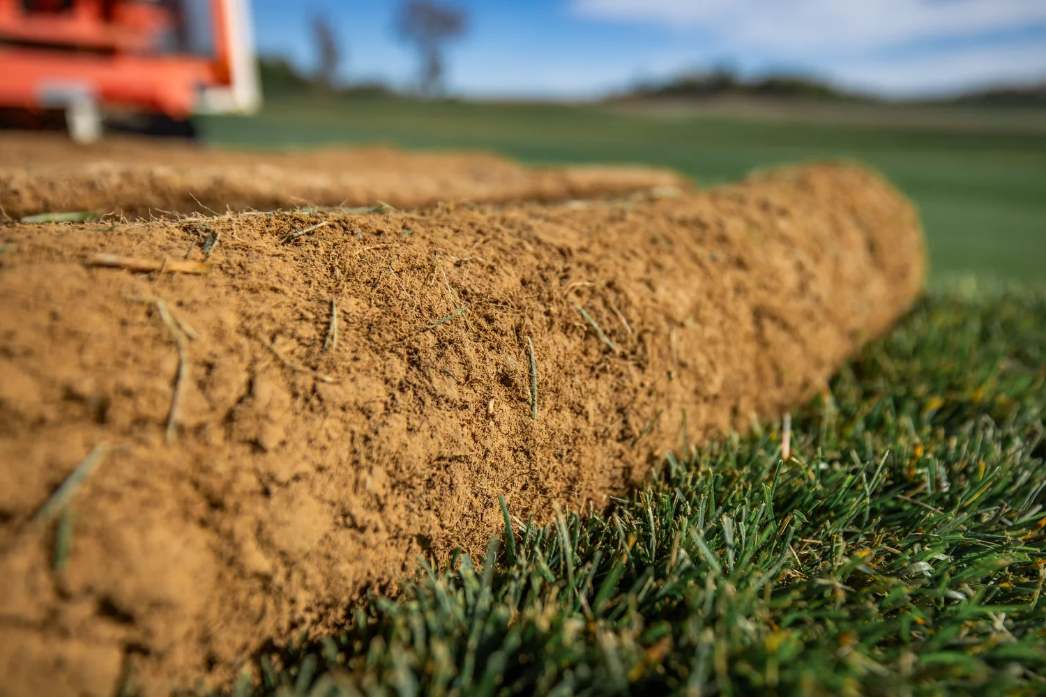 Close up of a freshly cut sod roll