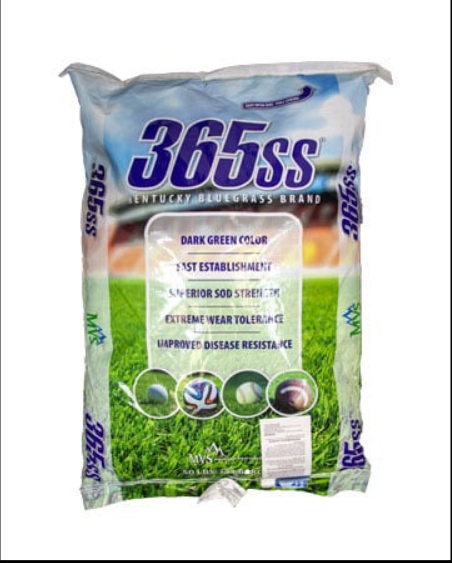 365ss Kentucky Bluegrass Seed - WV, PA, MD, VA