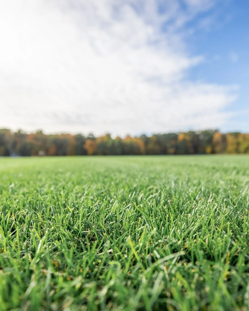 Turfgrass grown at Green Horizons Turf Farms for delivery to Frederick, MD