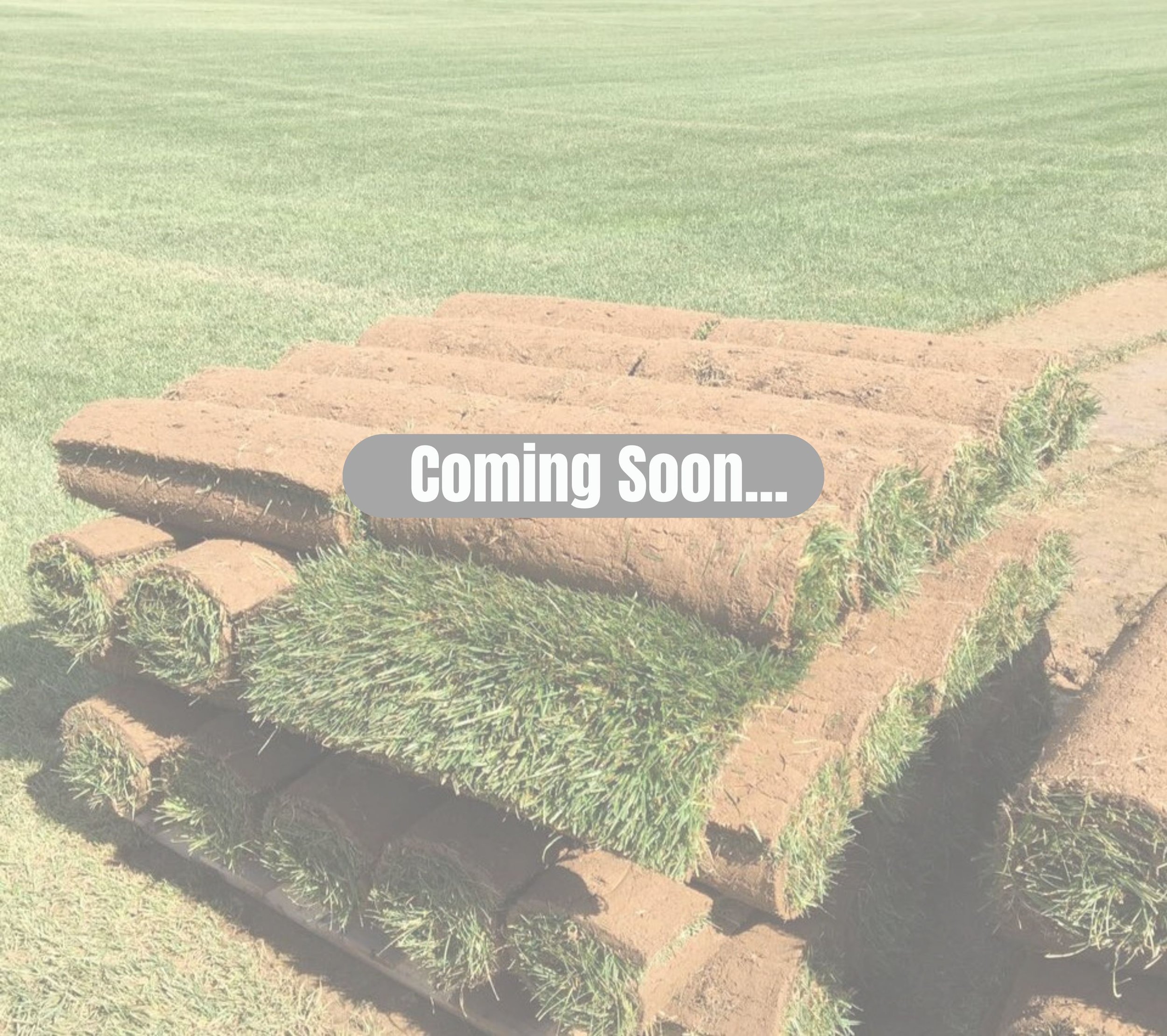 Coming Soon....jpg