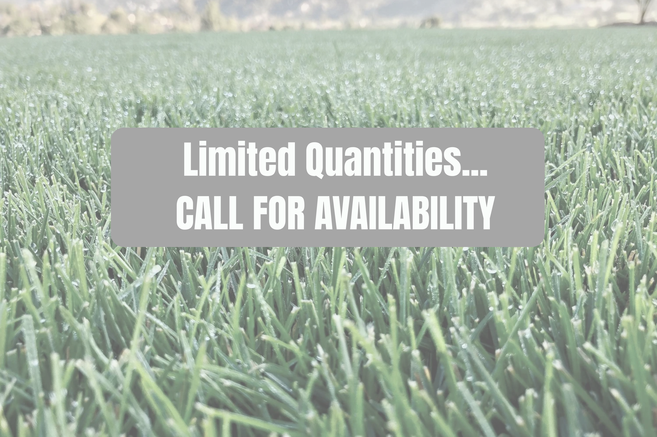 Limited Quantities... CALL FOR AVAILABILITY.png