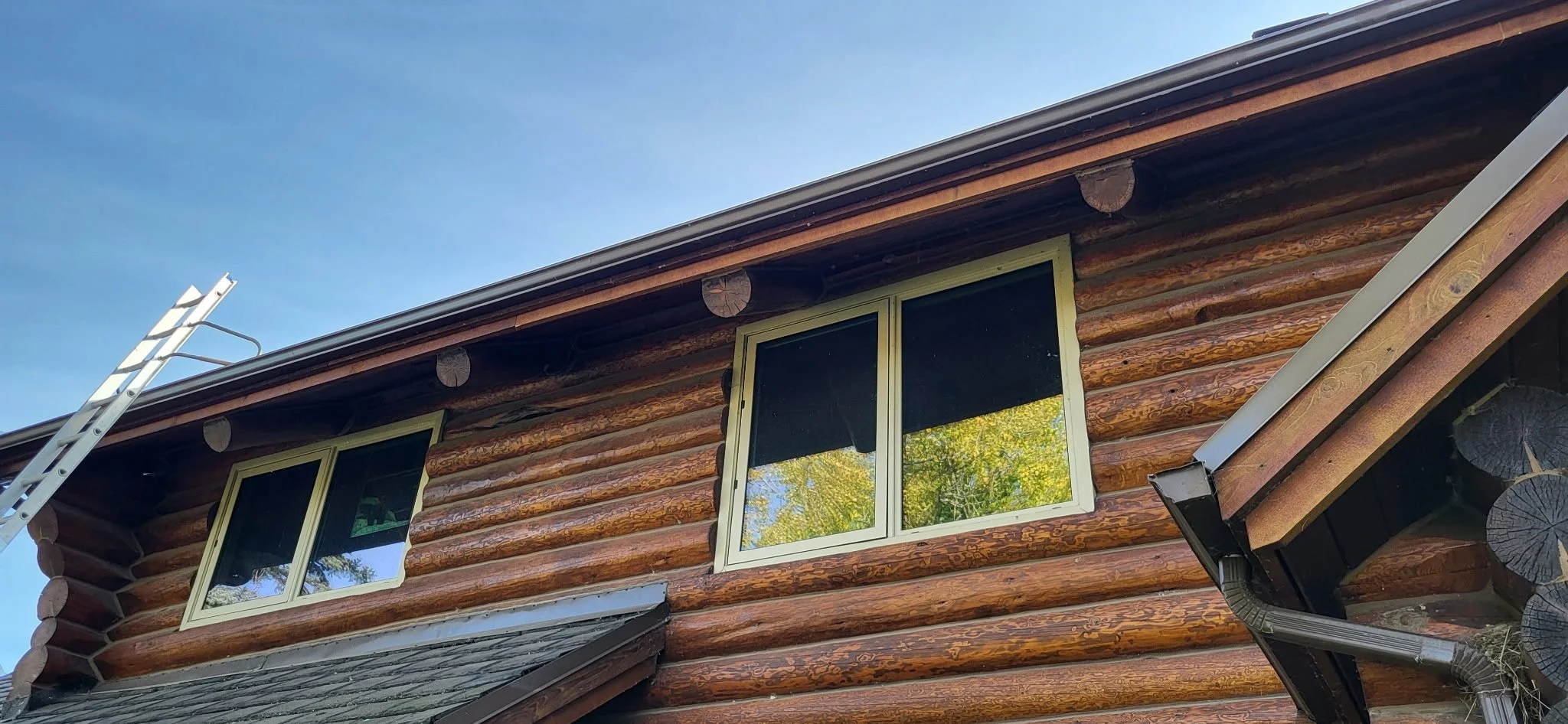 Close-up of a wooden log cabin's upper story with two windows, a ladder leaning against the roof, and a clear blue sky in the background.