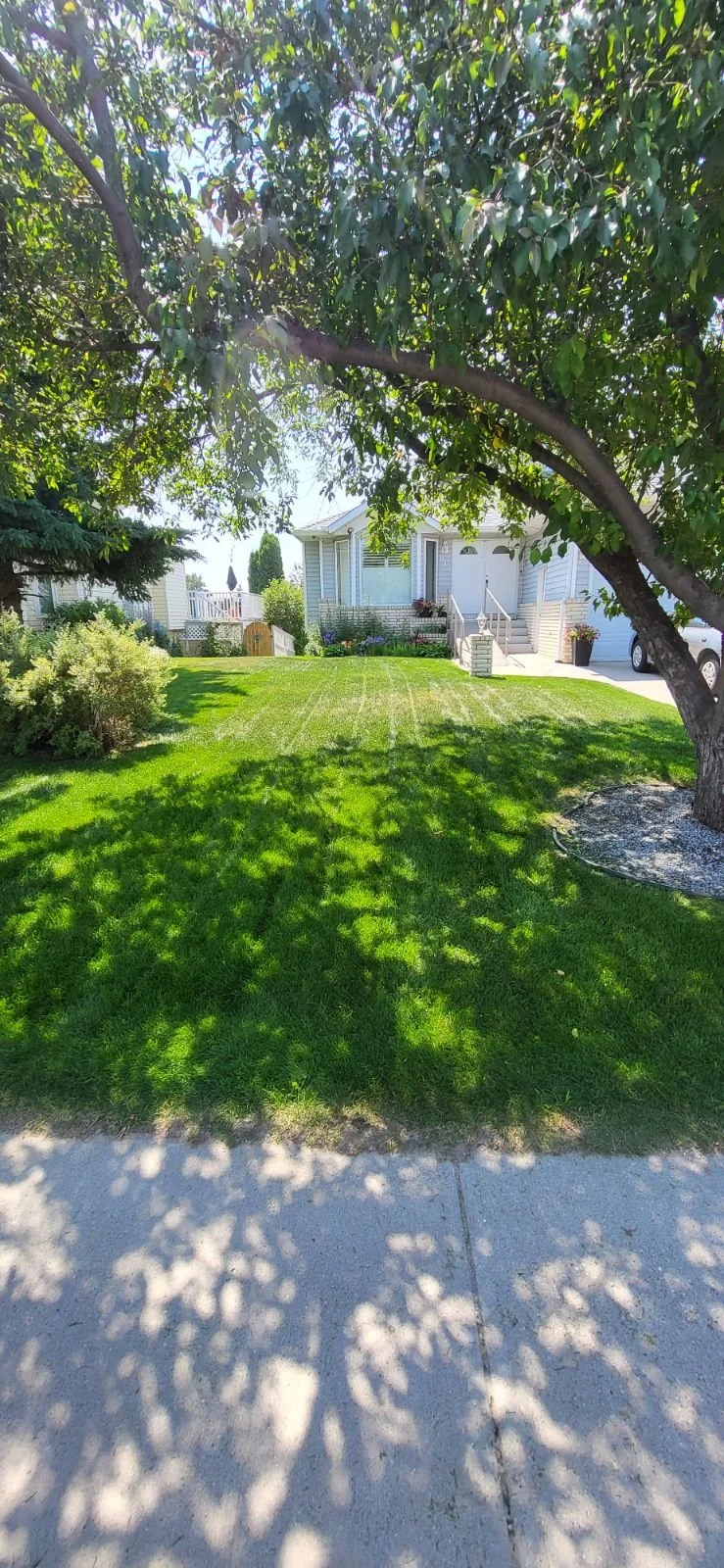 A front yard with lush green grass, a large tree providing shade, and a white house with stairs, flowers, and a driveway with a parked white car.