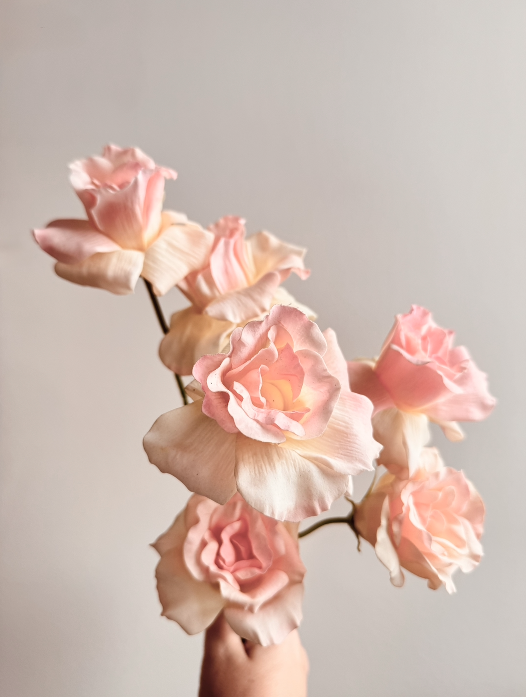 A bouquet of light pink and peach roses held by a person's hand against a plain white background.