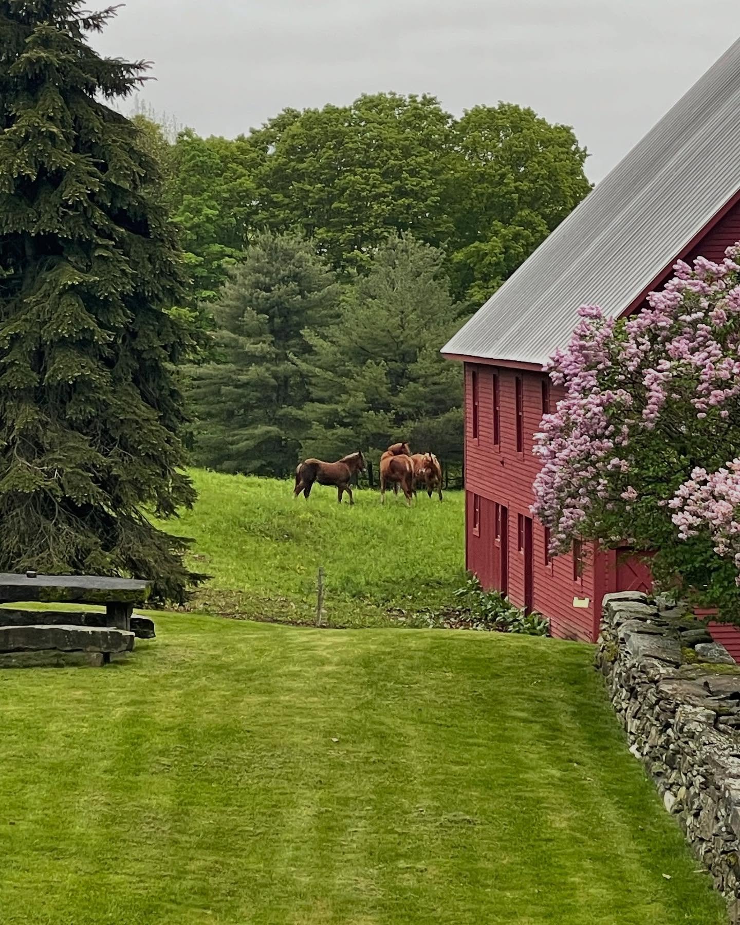 It has been wonderful to witness and be a part of this magical property in all of its seasons so far. It helps to understand the house and what our clients usage needs will be. But this week, on a site visit, the setting was just showing off for spri