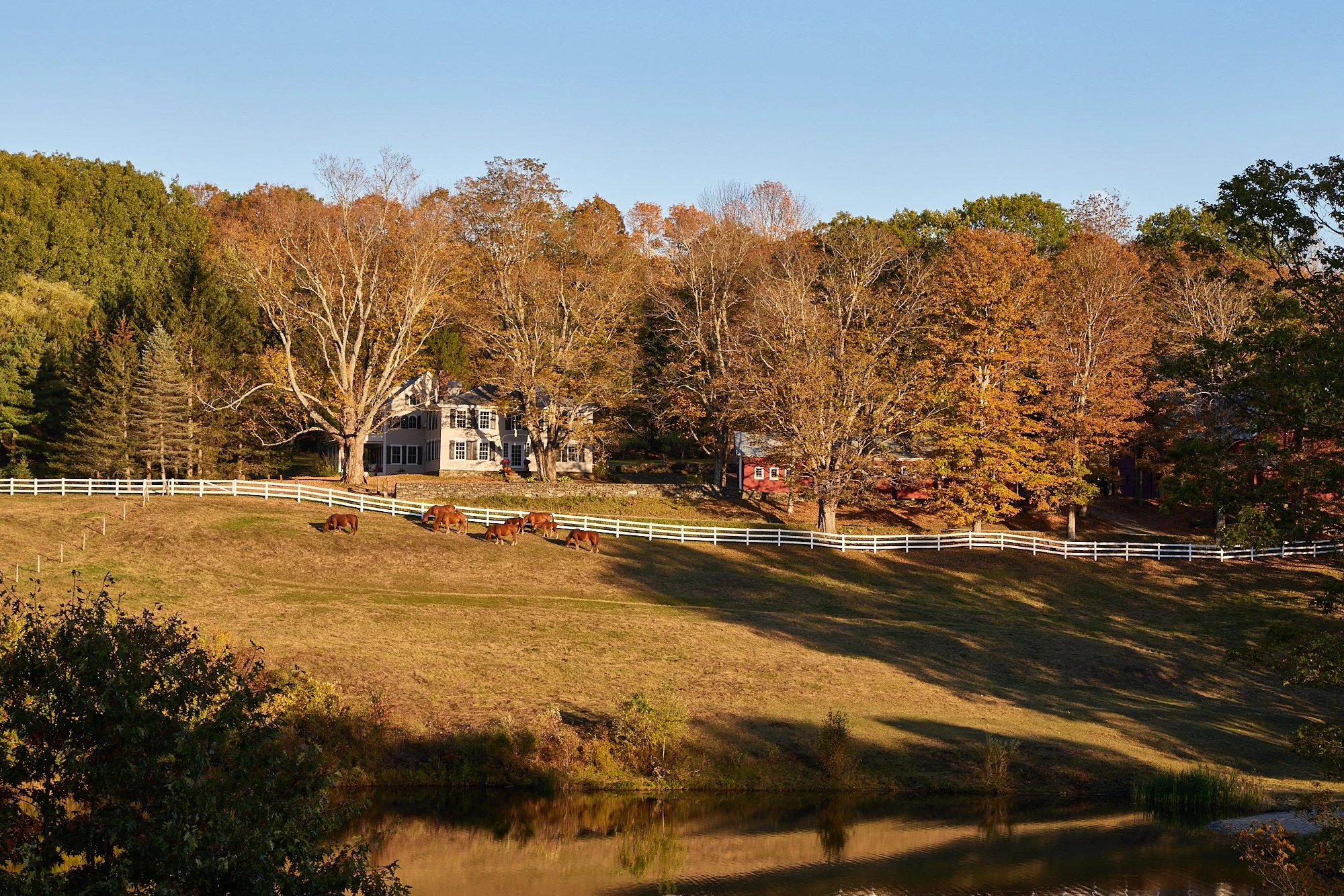 Caroline Cole-Woodstock VT-Matt Kisiday (web) 34.jpg