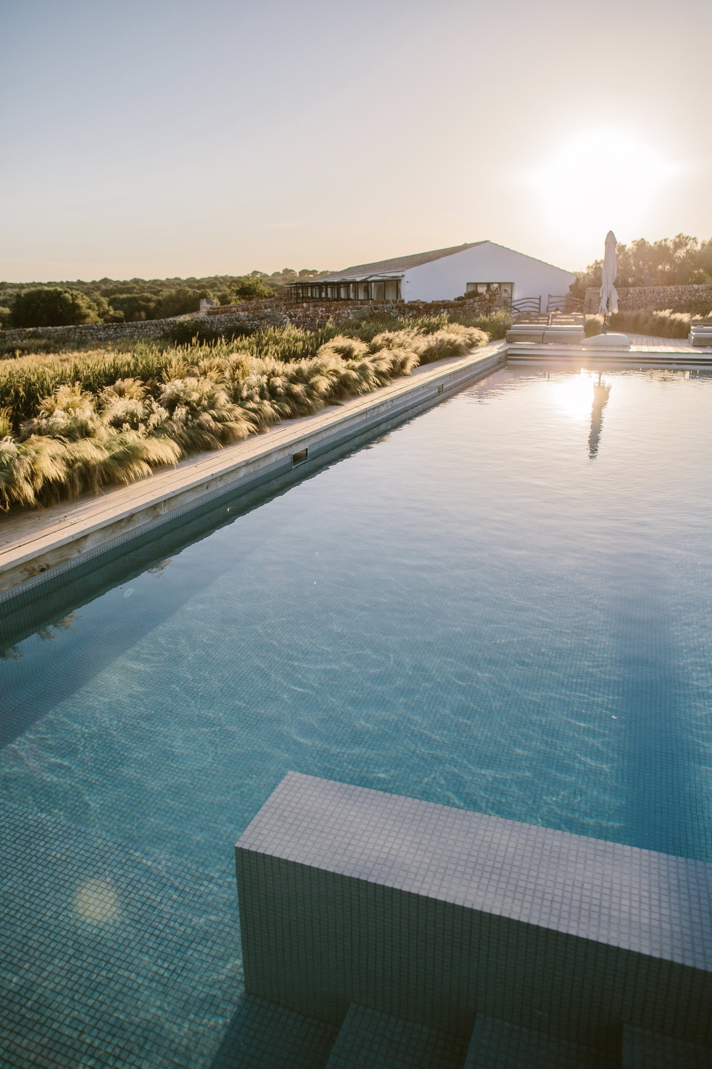 Céline Hamelin IMG_5790.JPEG