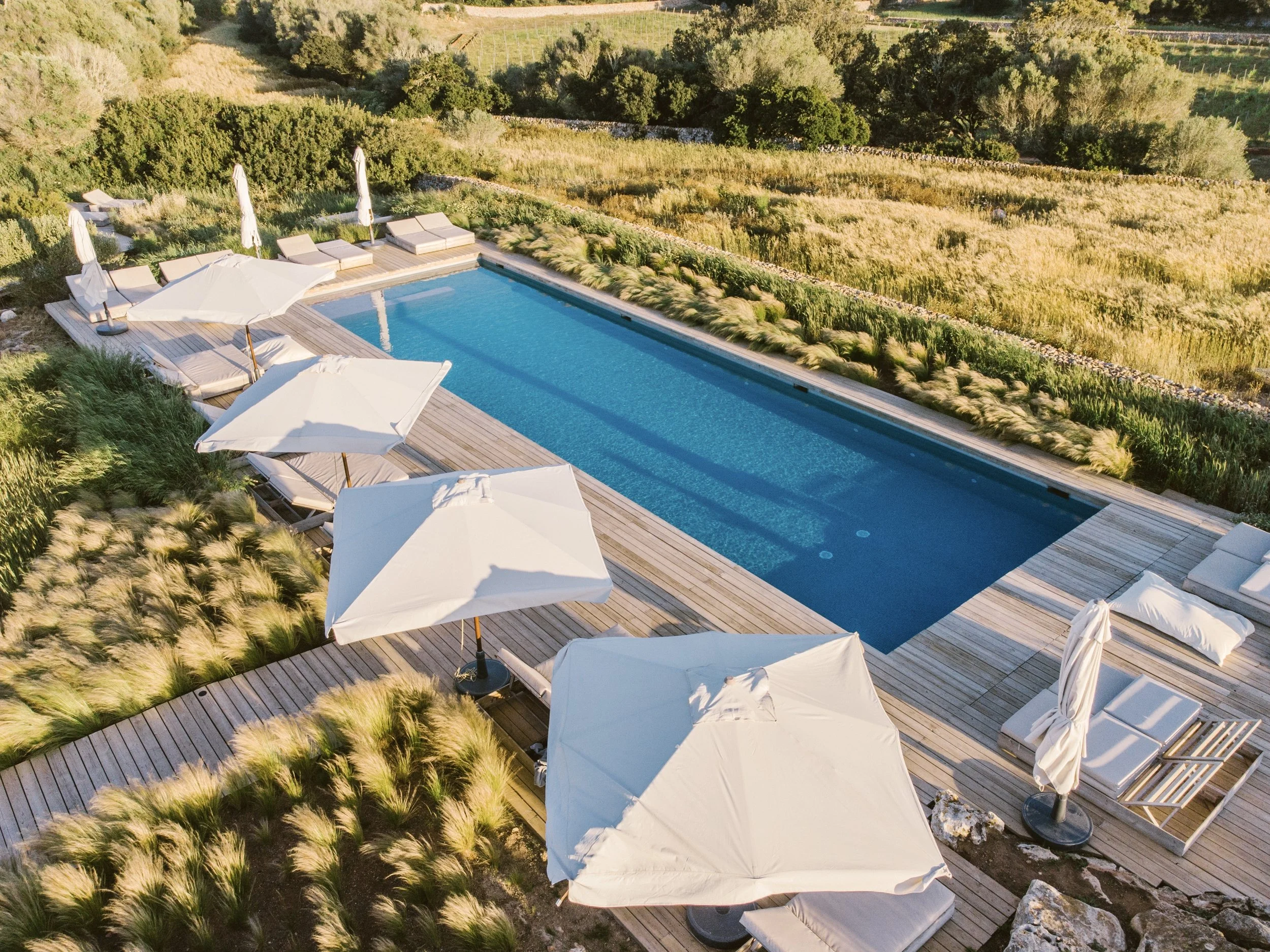 Céline Hamelin IMG_5781.JPEG