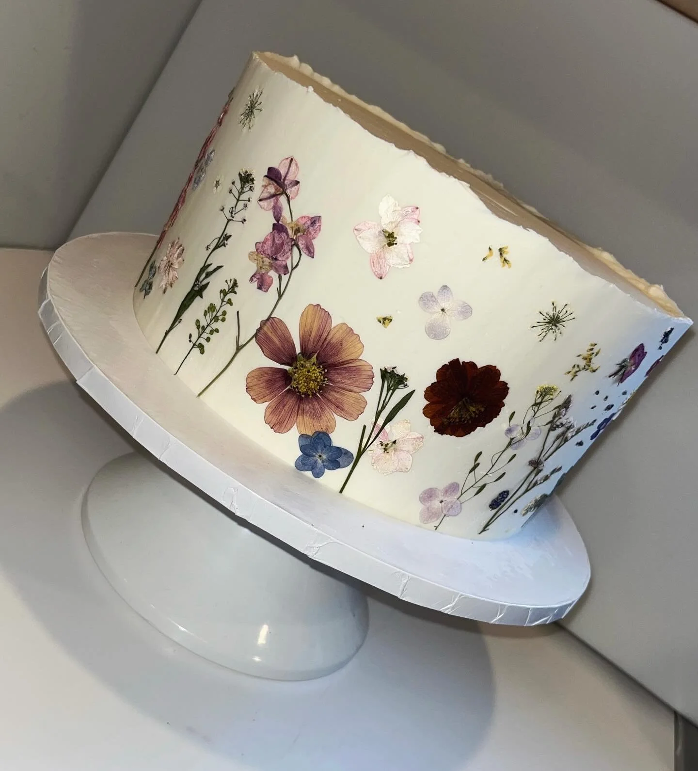 🌸 🌼🪻
