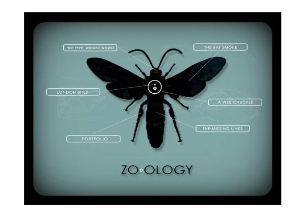 zo-ology.jpg