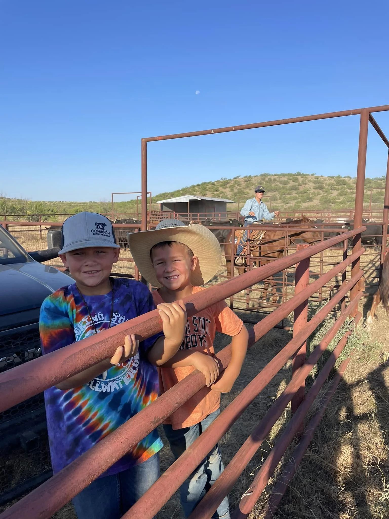 Comanche Livestock Auction — Comanche, OK — Western Livestock Auctions