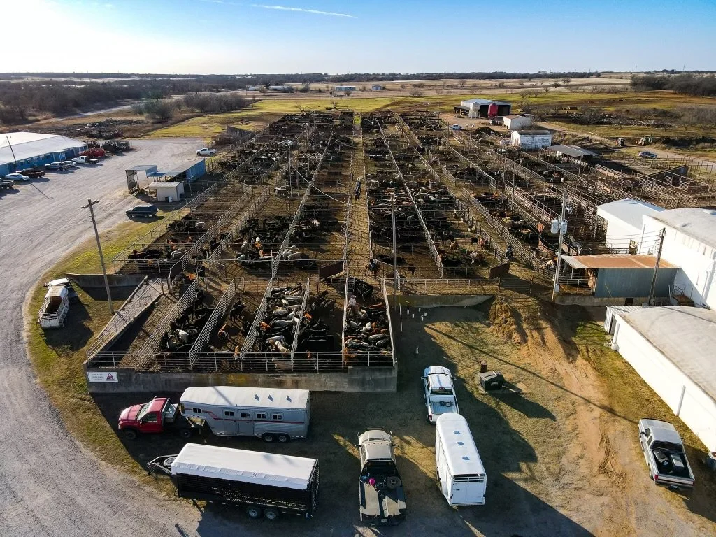 Comanche Livestock Auction Western Livestock Auctions