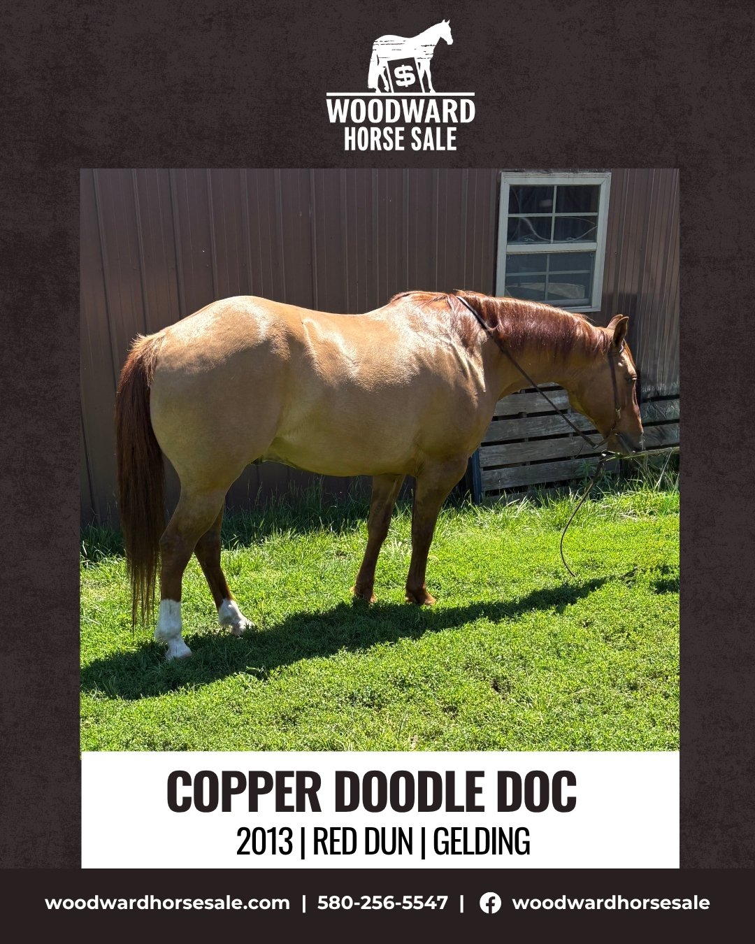 COPPER DOODLE DOC.jpg
